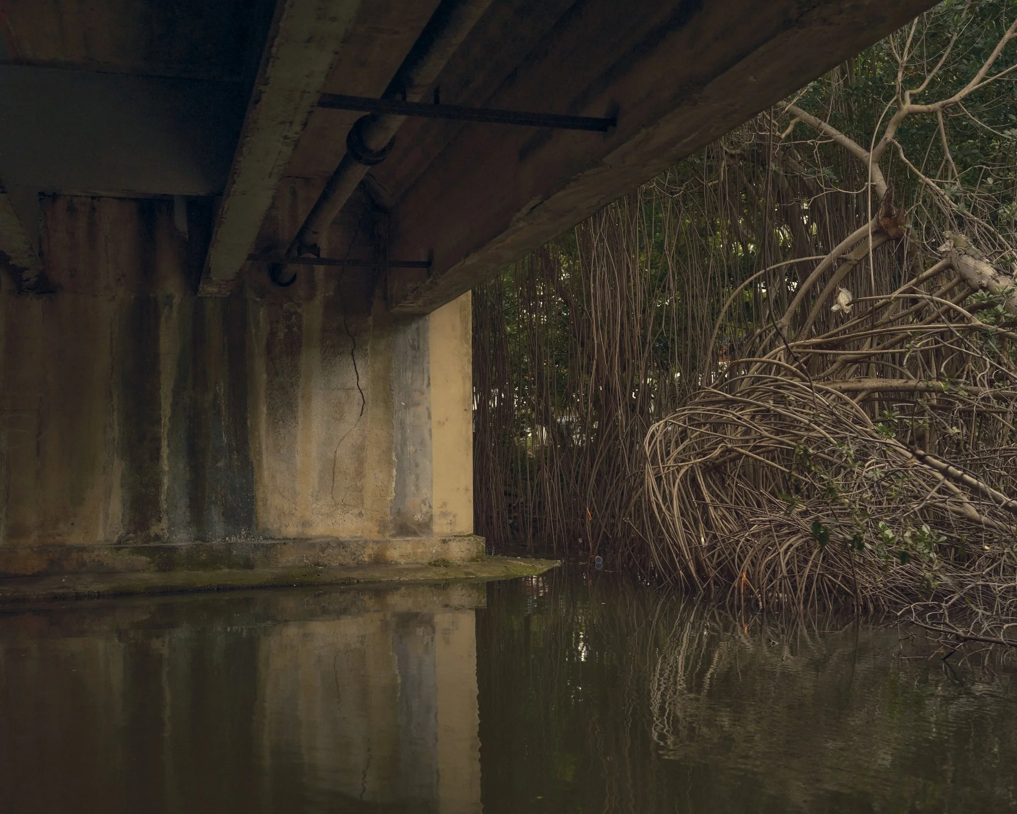 Copy of ChristopherGregoryRivera-FinalPressImage-036.JPG