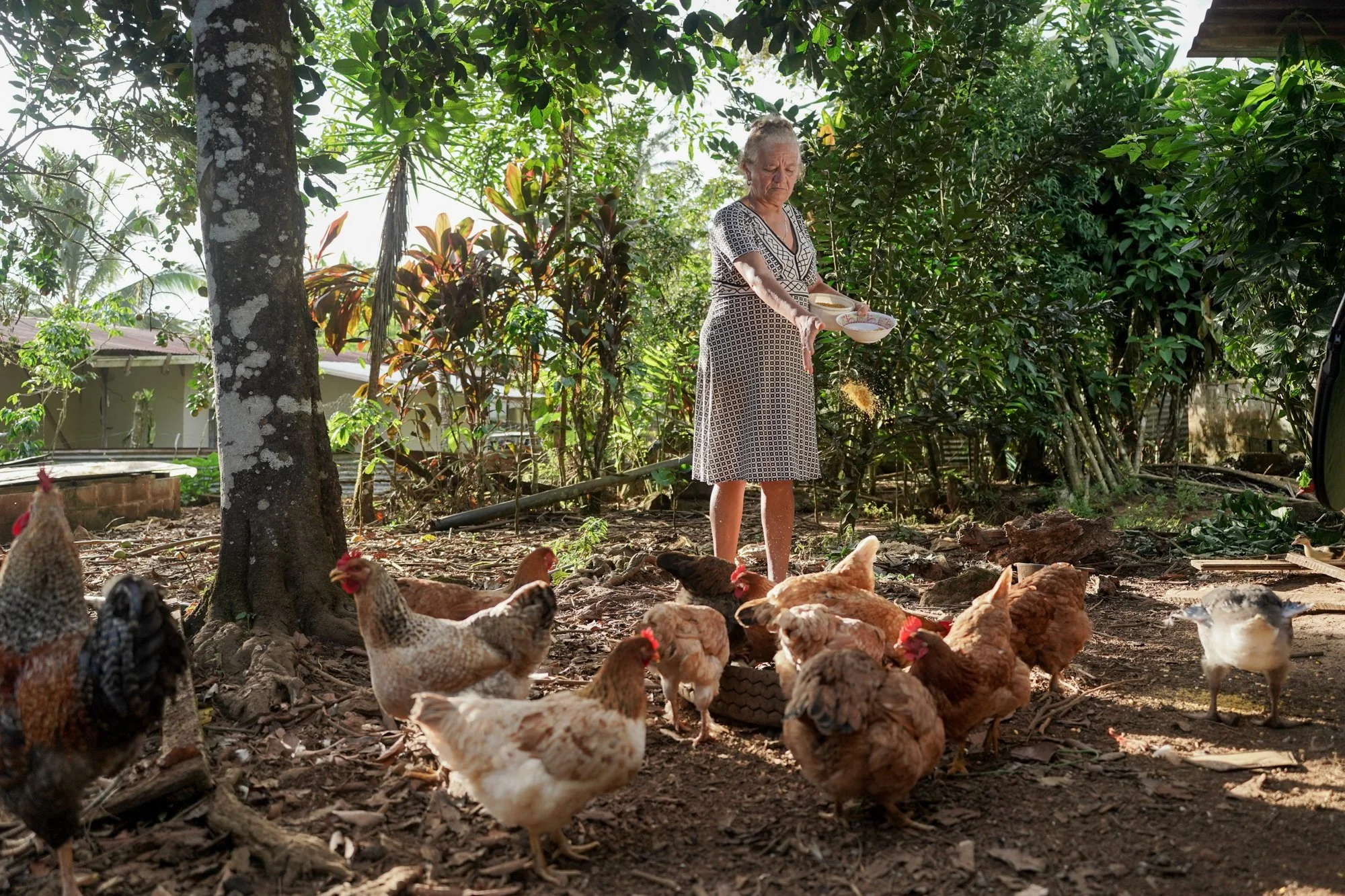 Copy of longomaicr_primora083.jpg