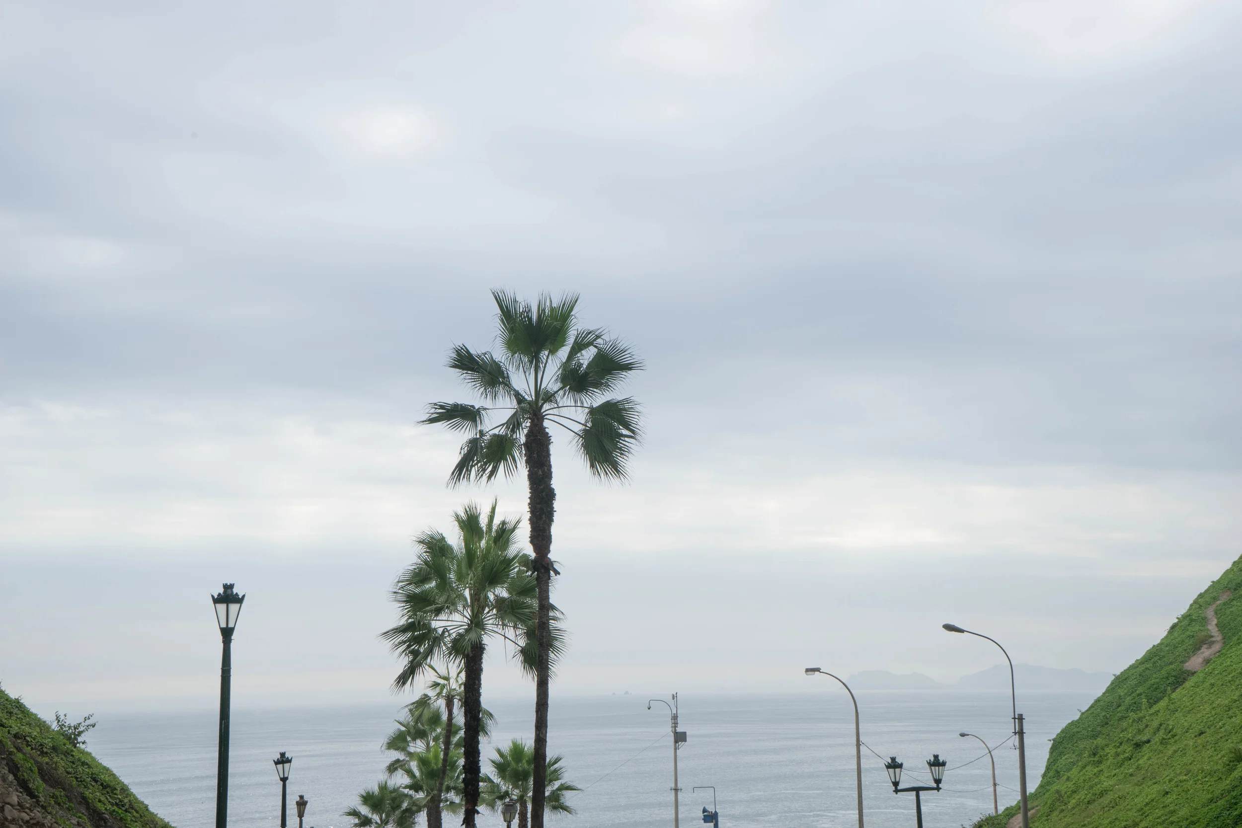 DSC00384.jpg