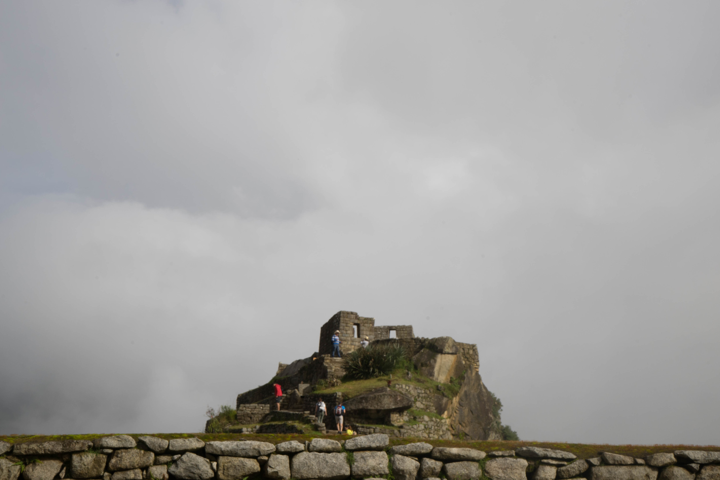 DSC00912.jpg