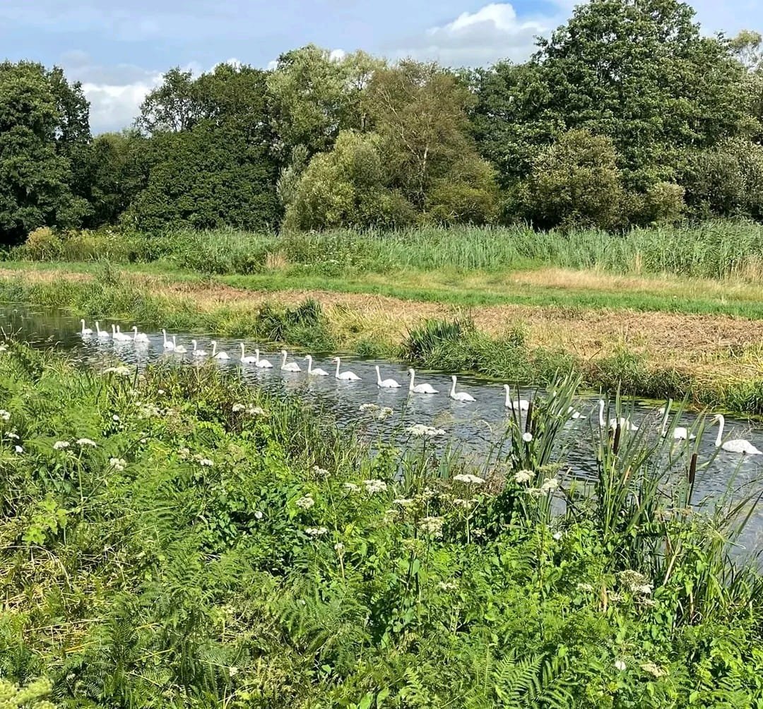 Frühlingserwachen Kakao Zeremonie im Kreis Detmold, NRW