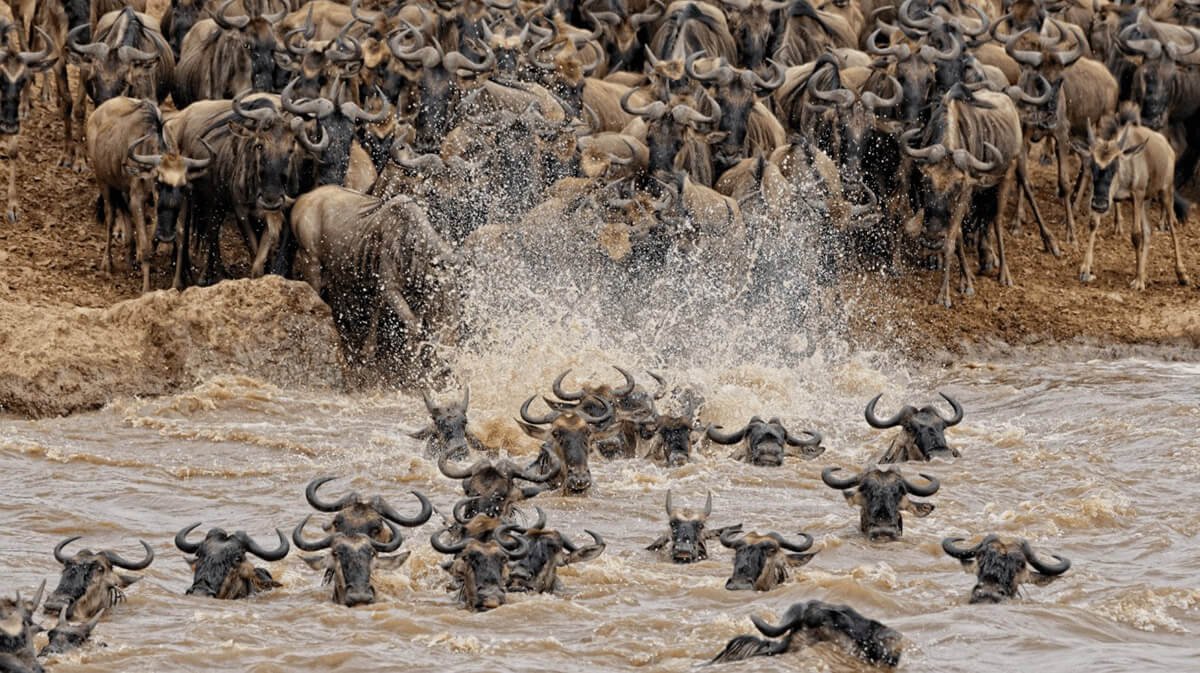 masai-mara-1-1.jpg