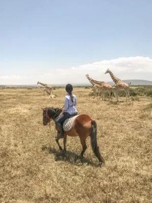 horse-riding-sandai-farm-qx8ihjn37o8iyg3ufowb48iyfsk7g7mz4rpsjqxyg0.jpg
