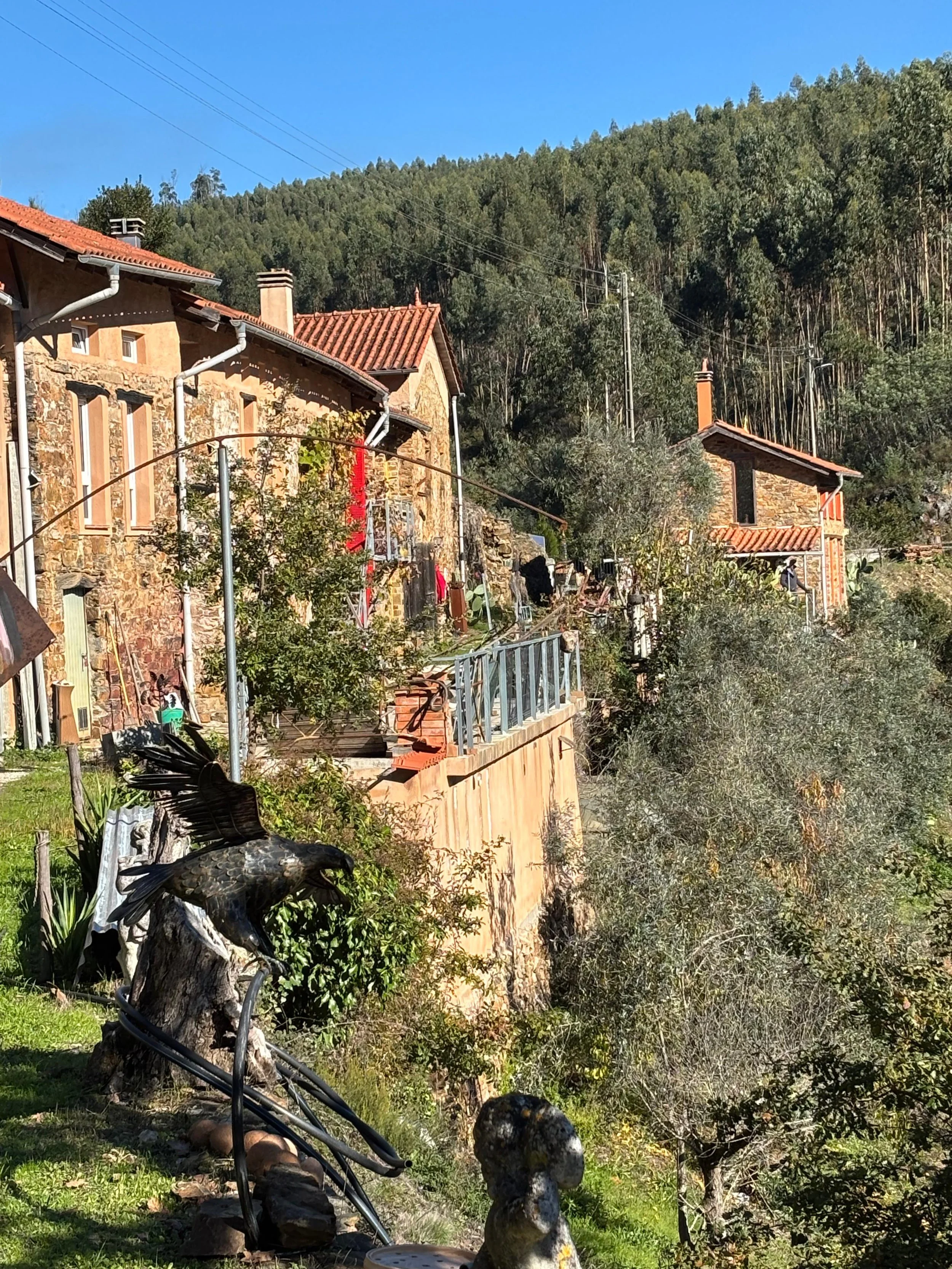 WhatsApp Image 2025-12-17 at 11.56.37.jpeg