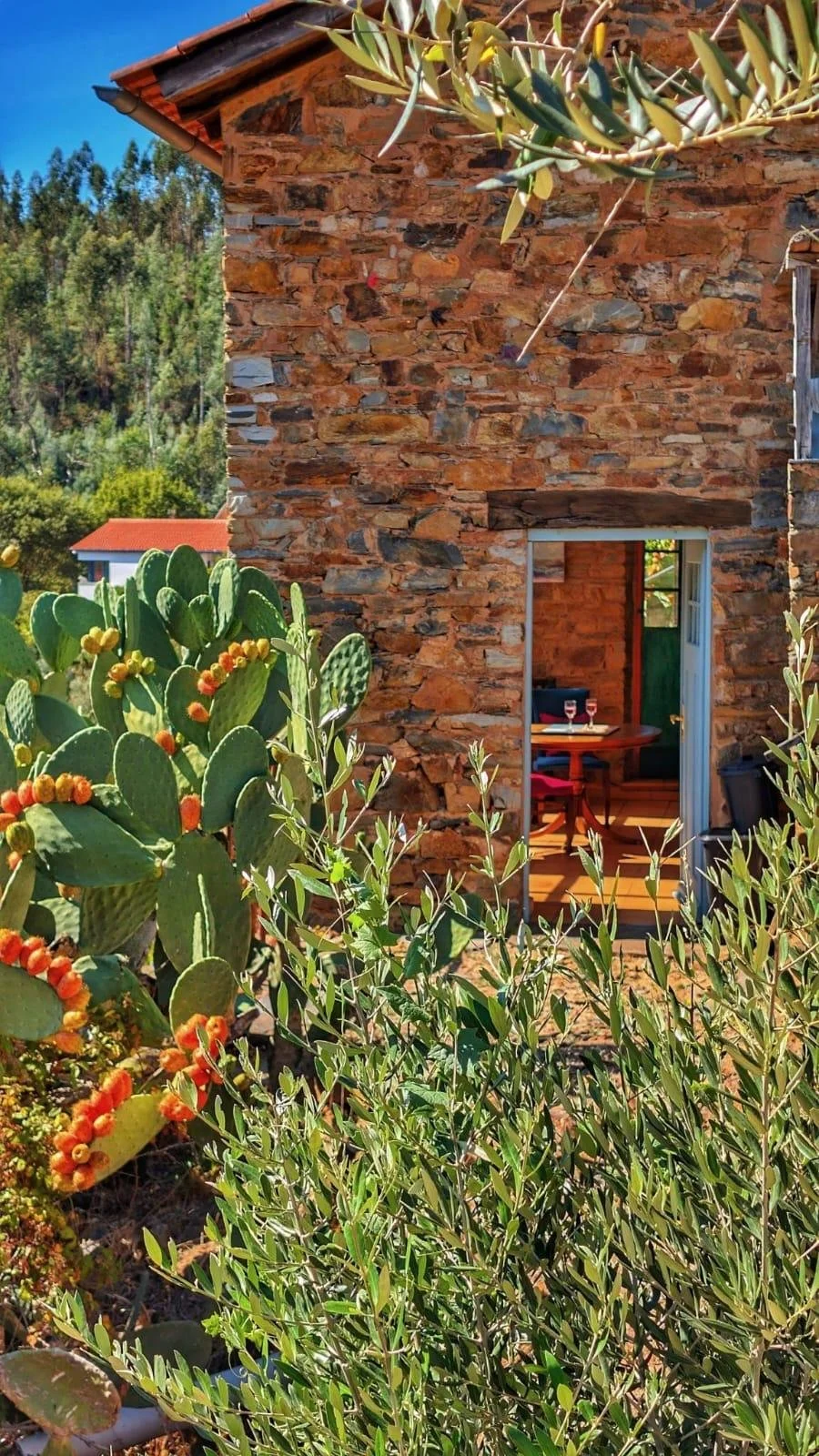 WhatsApp Image 2025-12-17 at 11.56.36.jpeg