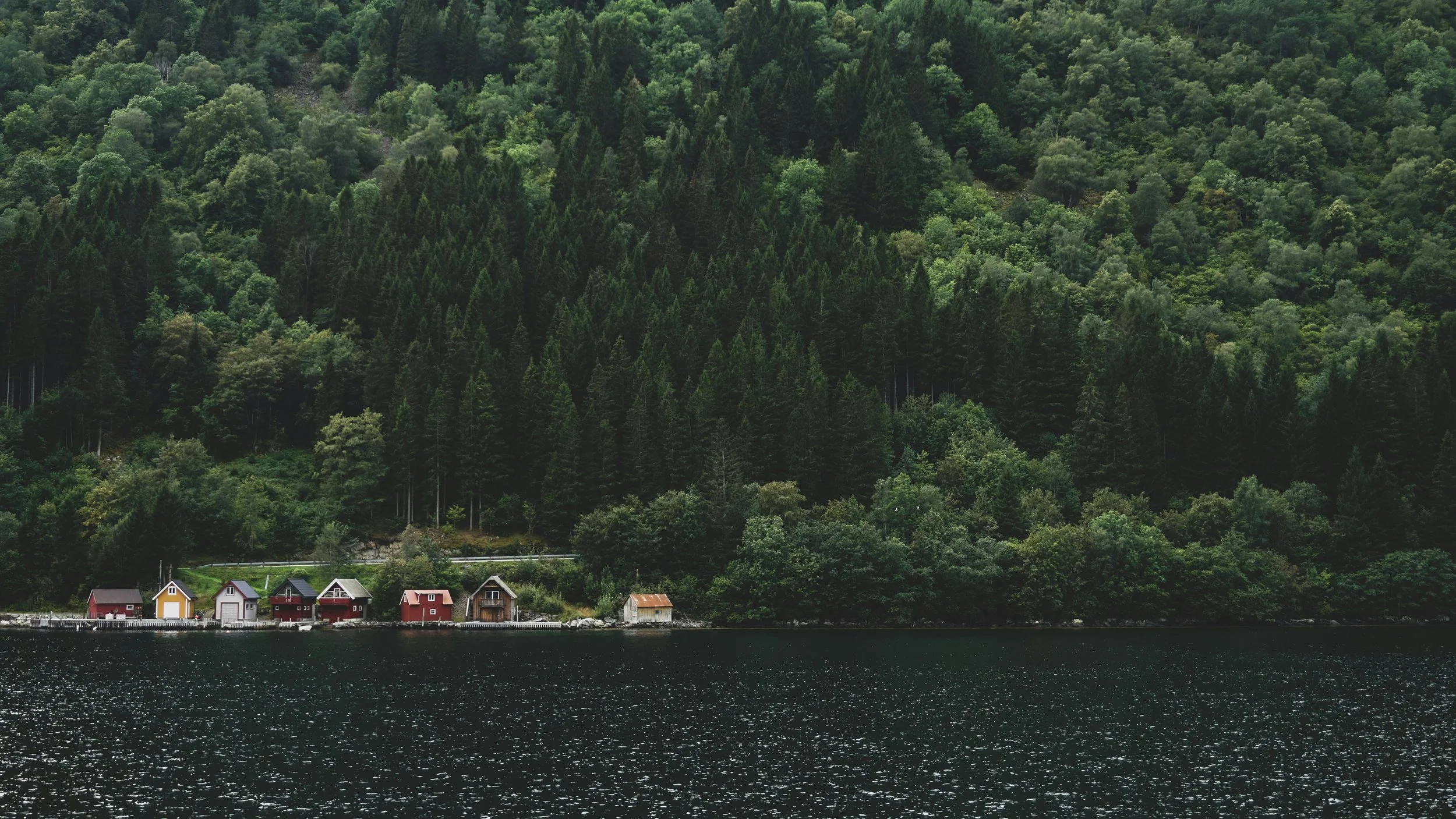 eva-darron-zHrs-hlclMU-unsplash.jpg