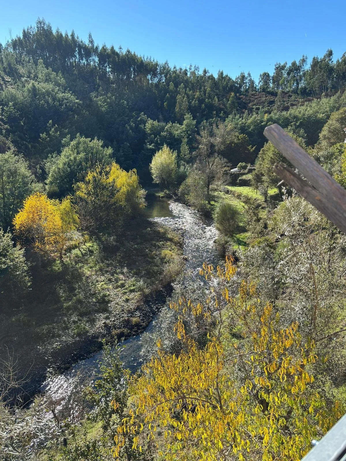 WhatsApp Image 2025-12-18 at 10.11.54.jpeg