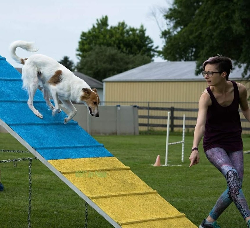 Ann Marie running agility with her dog, Wally photo ©jim petack photography