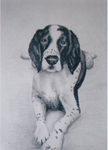 graphitedog.jpeg