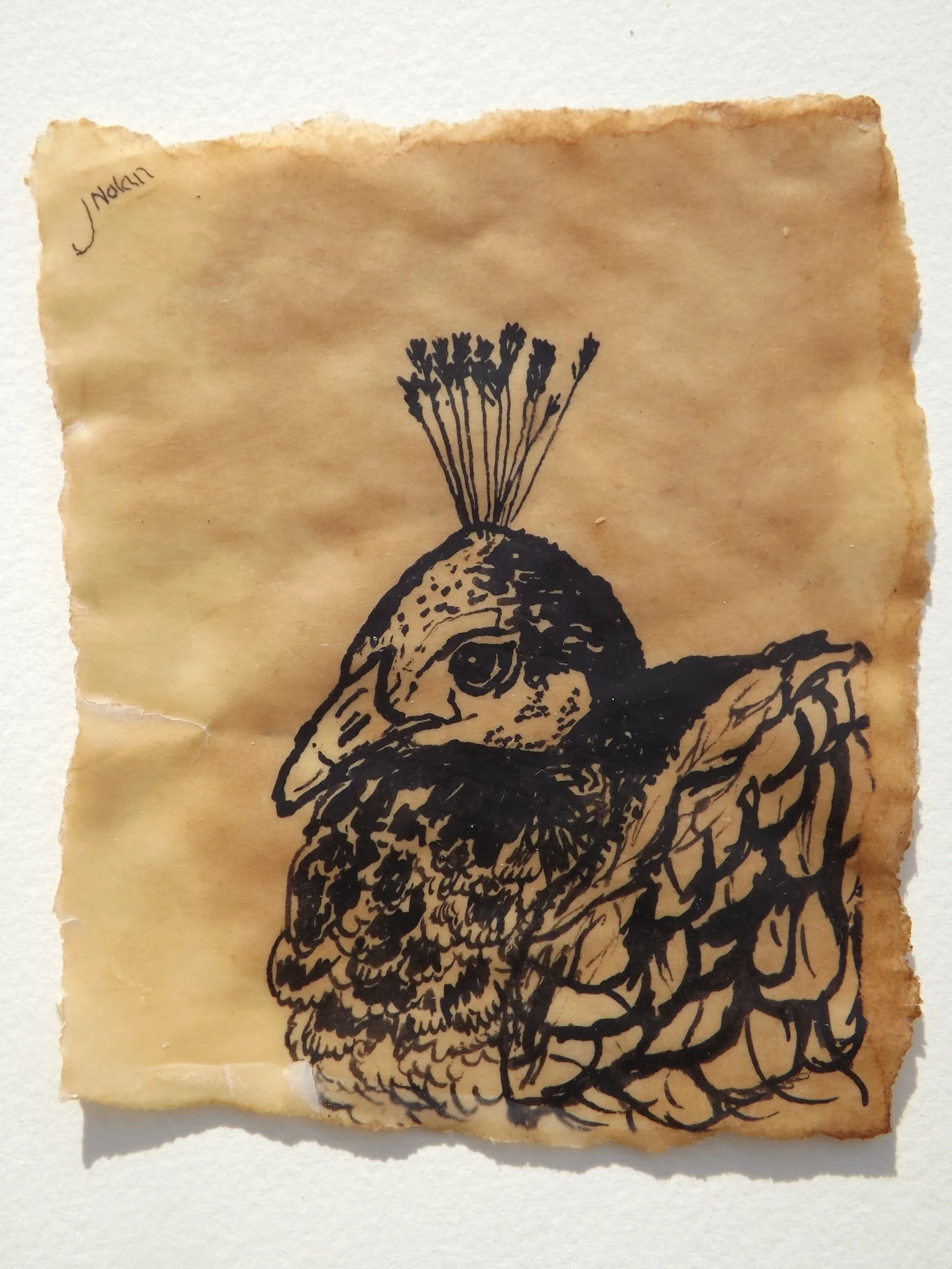 DSCF1959.jpg