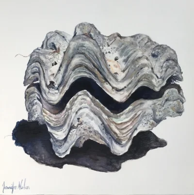 "James's Shell"