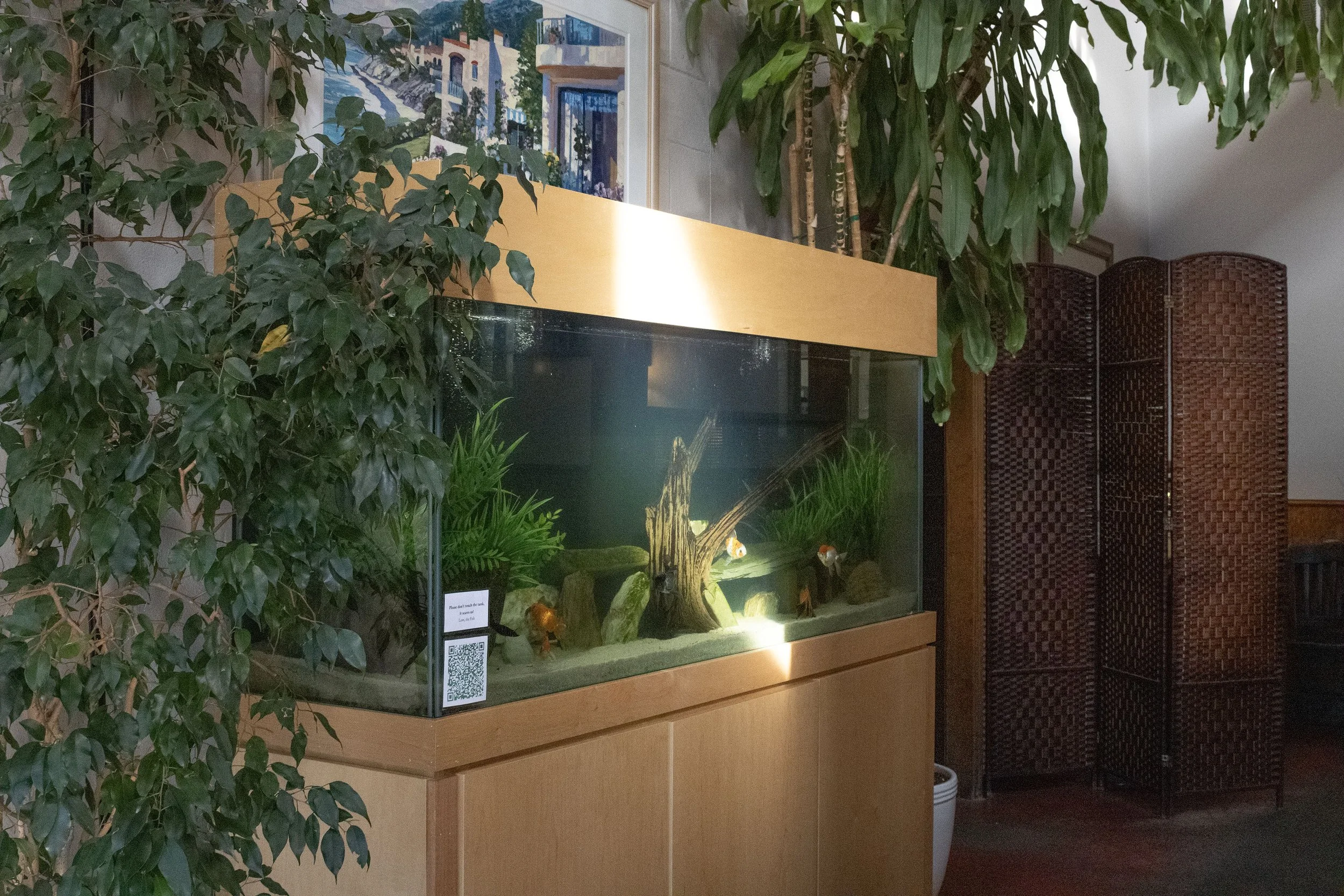fisht copy.jpg
