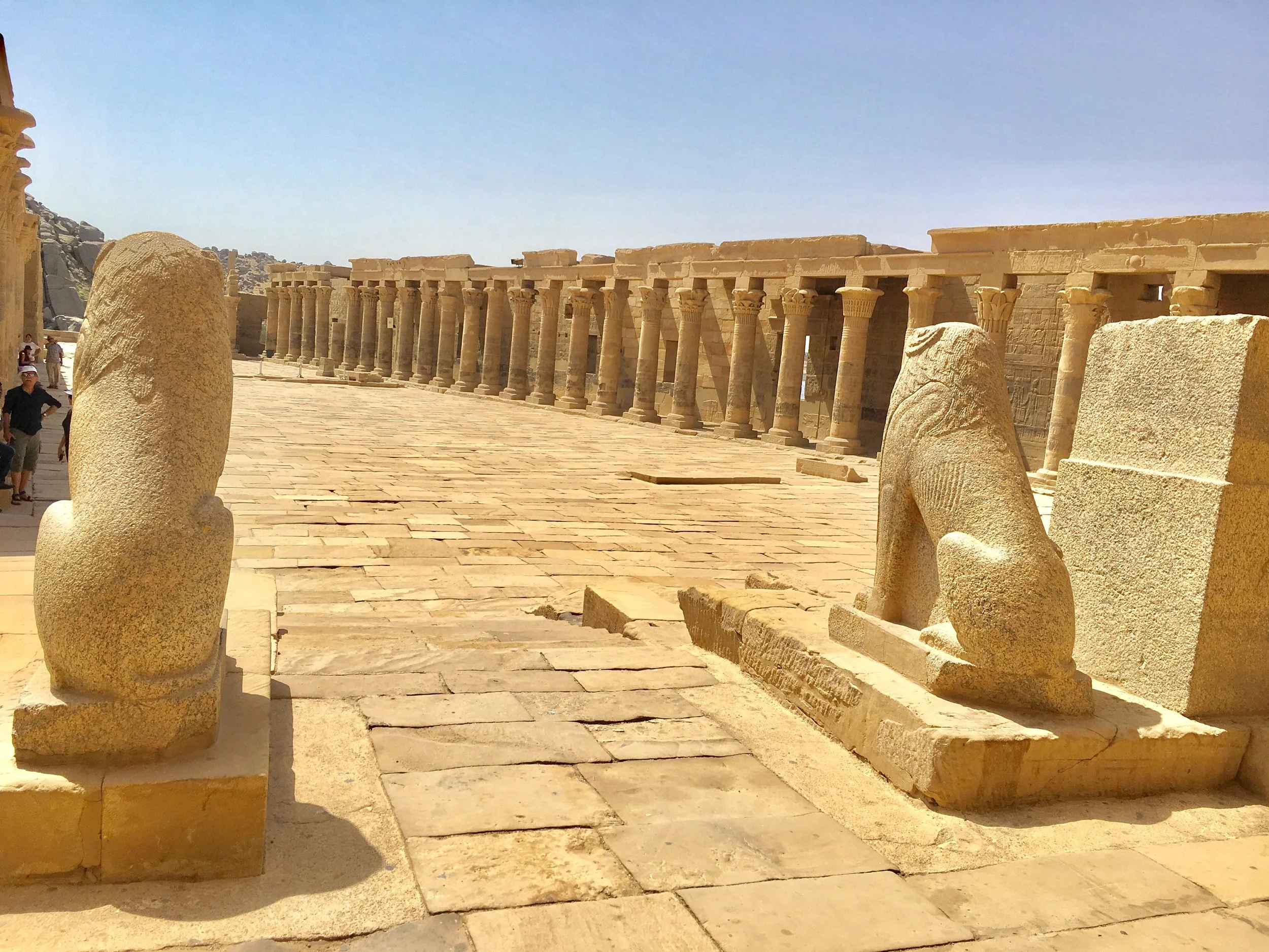 60 Minute Akashic Records Session