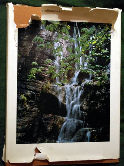 Web_ADK2_Porter_ForeverWild2_02.jpg