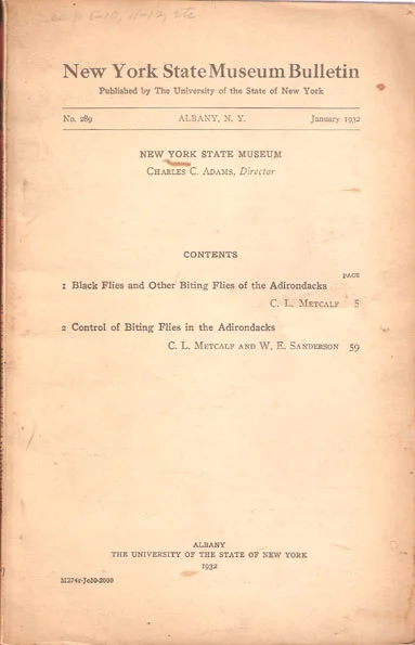 web_ADK_Metcalf_BlackFlies.jpg