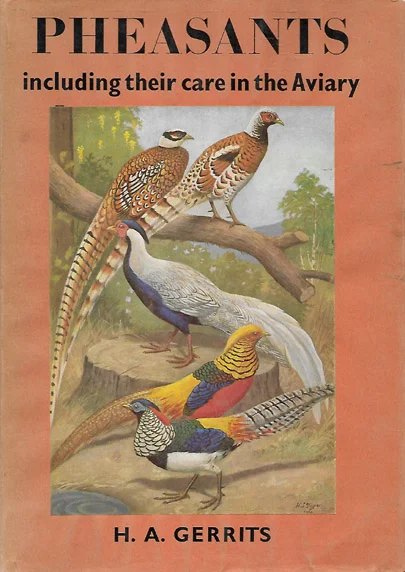 web_SP1_Gerrits_Pheasants.jpg