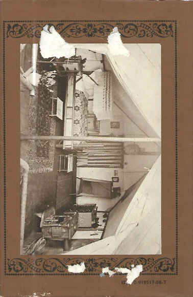 web_ADK_Collins_BrightonStory2.jpg