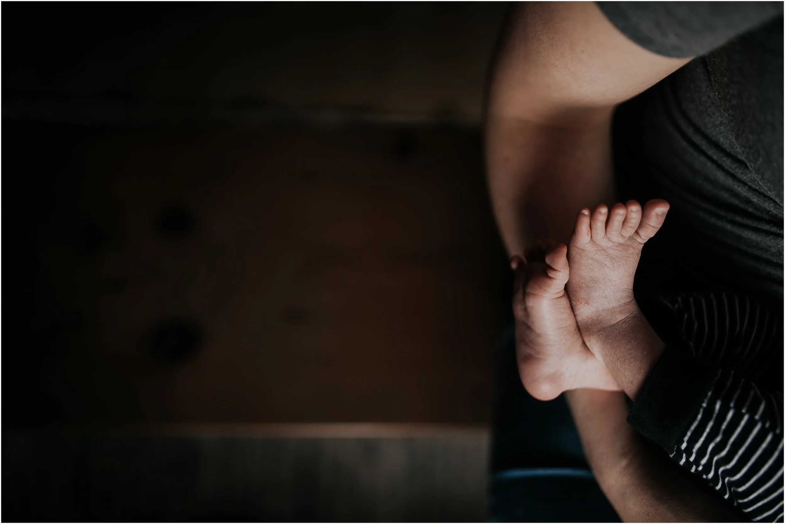 Newborn photography edmonton Sara Jewell
