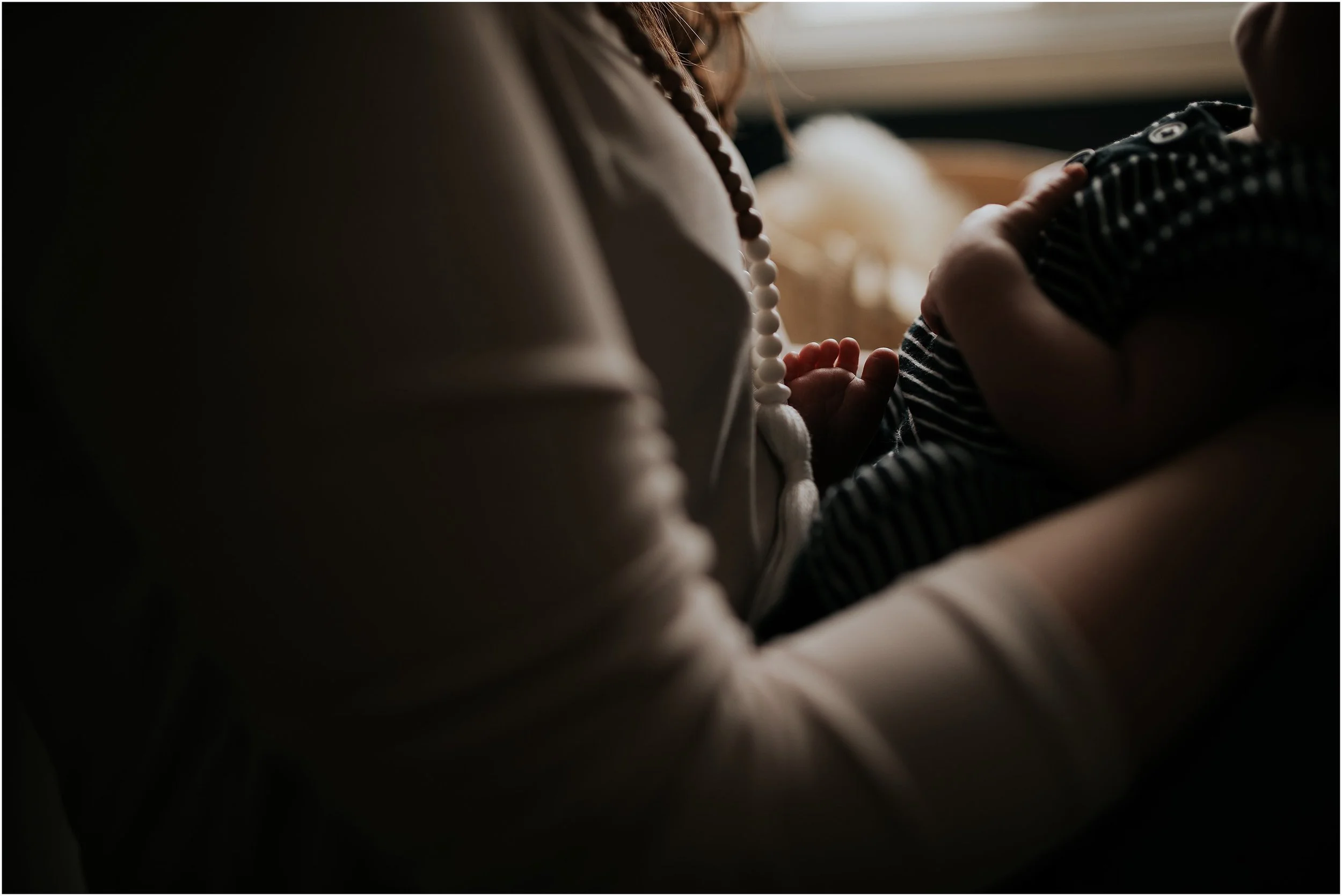 Newborn photography edmonton Sara Jewell