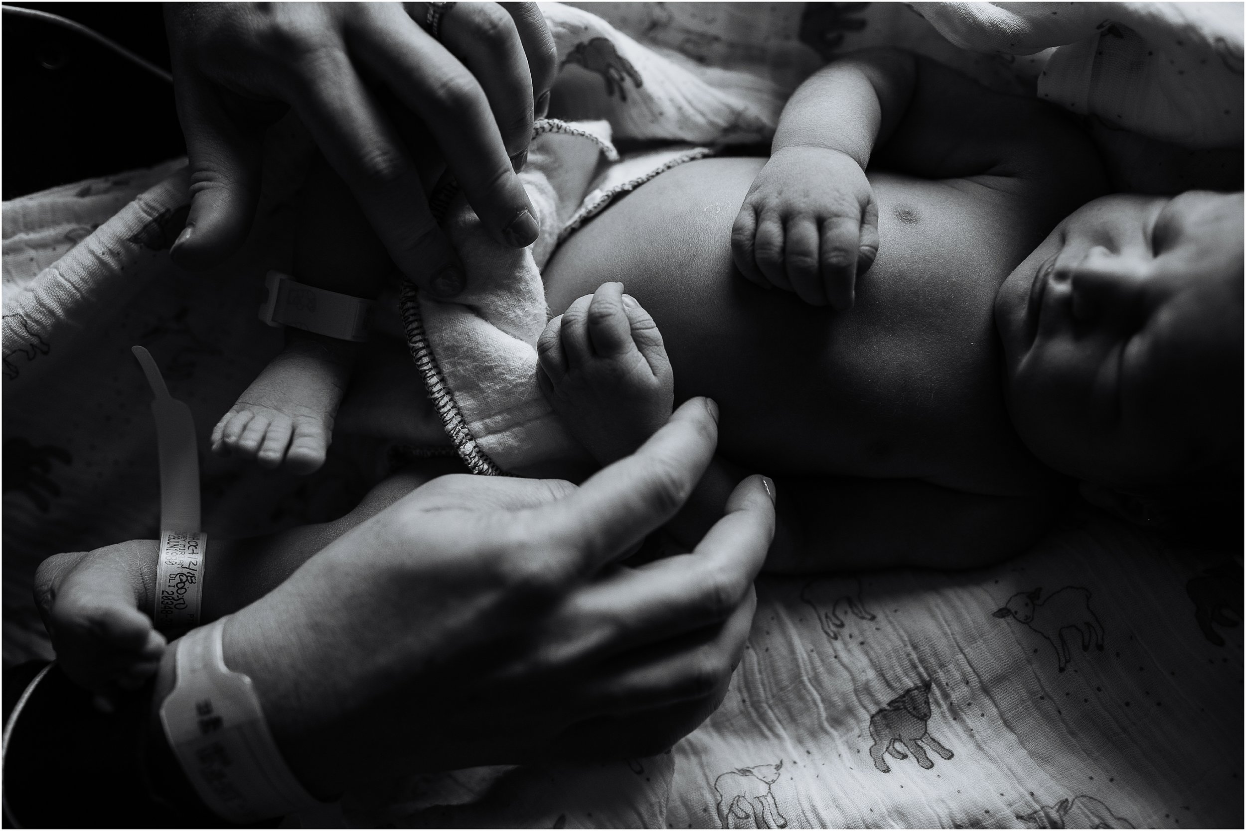 Edmonton newborn photography - Sara Jewell