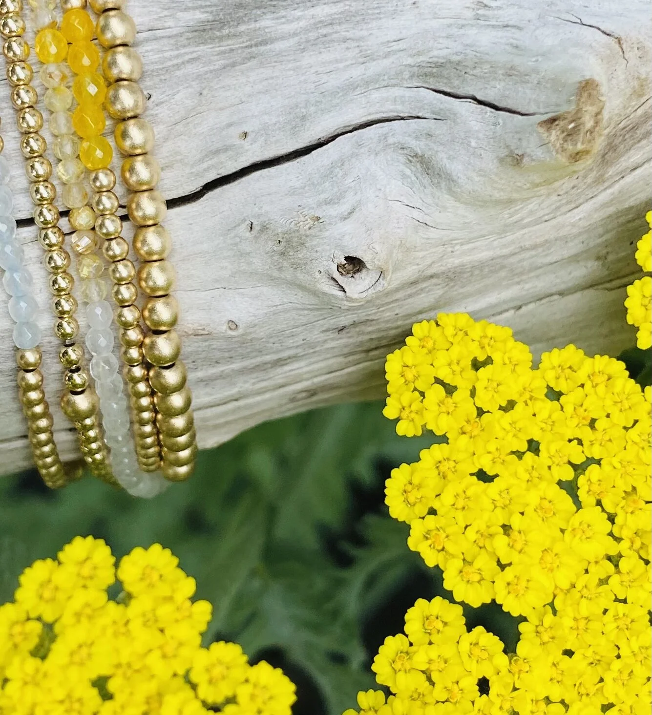 C3E12E21-9BA3-40AC-A879-C26BFDFEF2FC