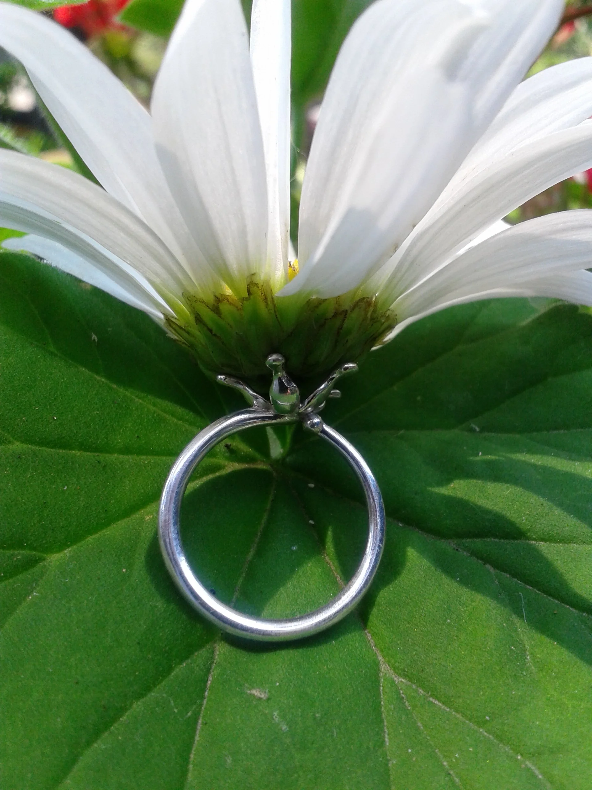 Spring ring