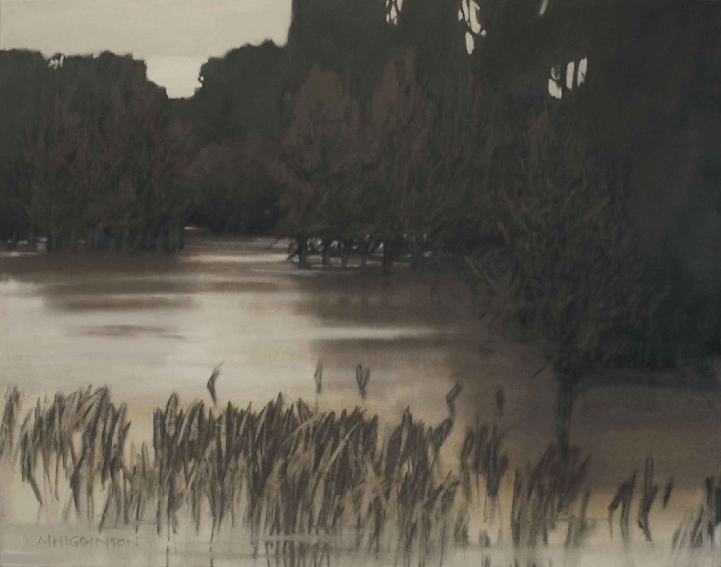 MHigginson_Flooded-Swale.jpg