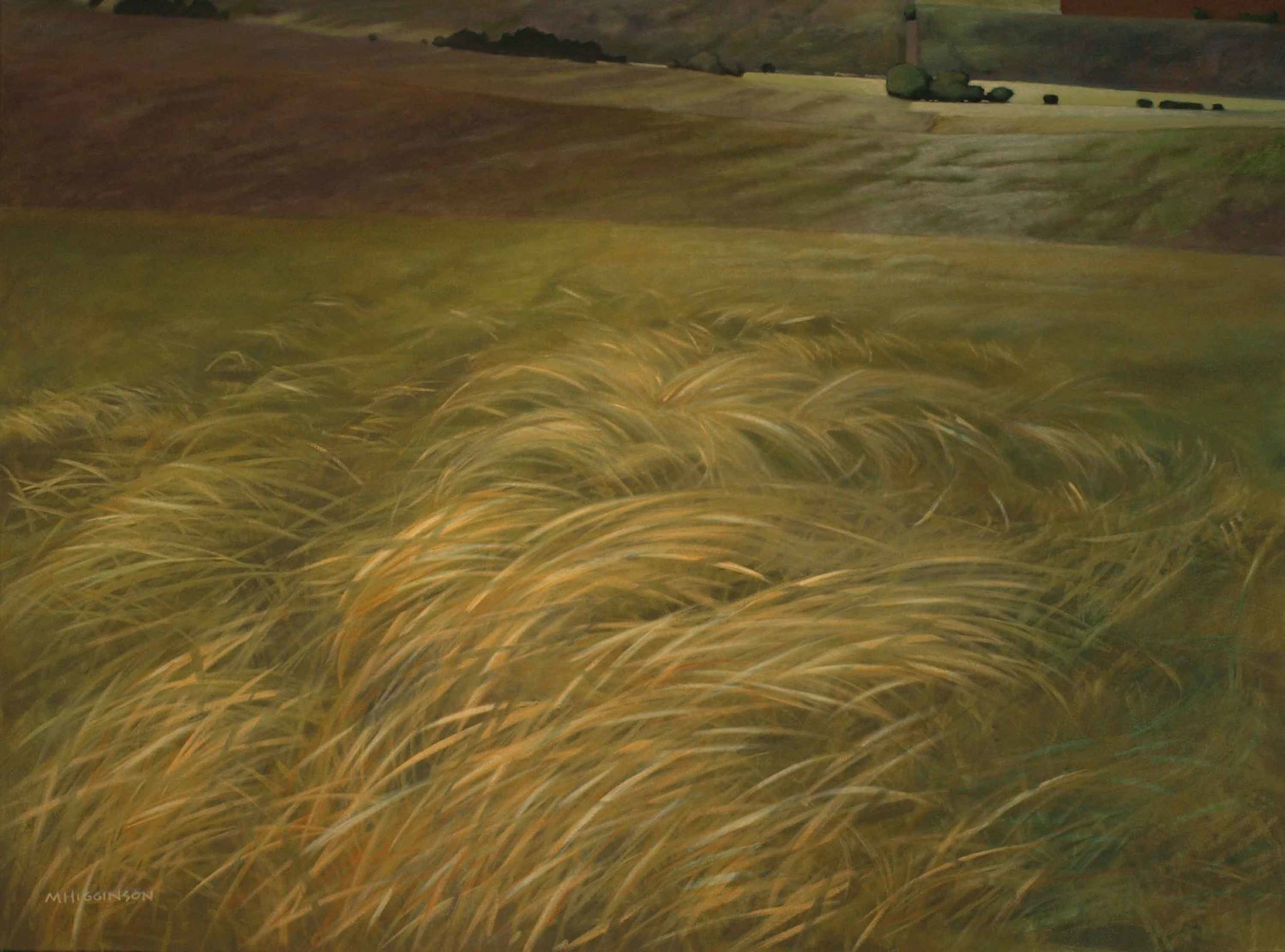 MHigginson_After-Rain.jpg