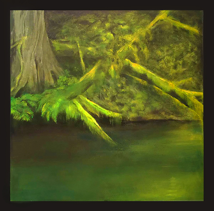 Foster Lake Inlet_low.jpg