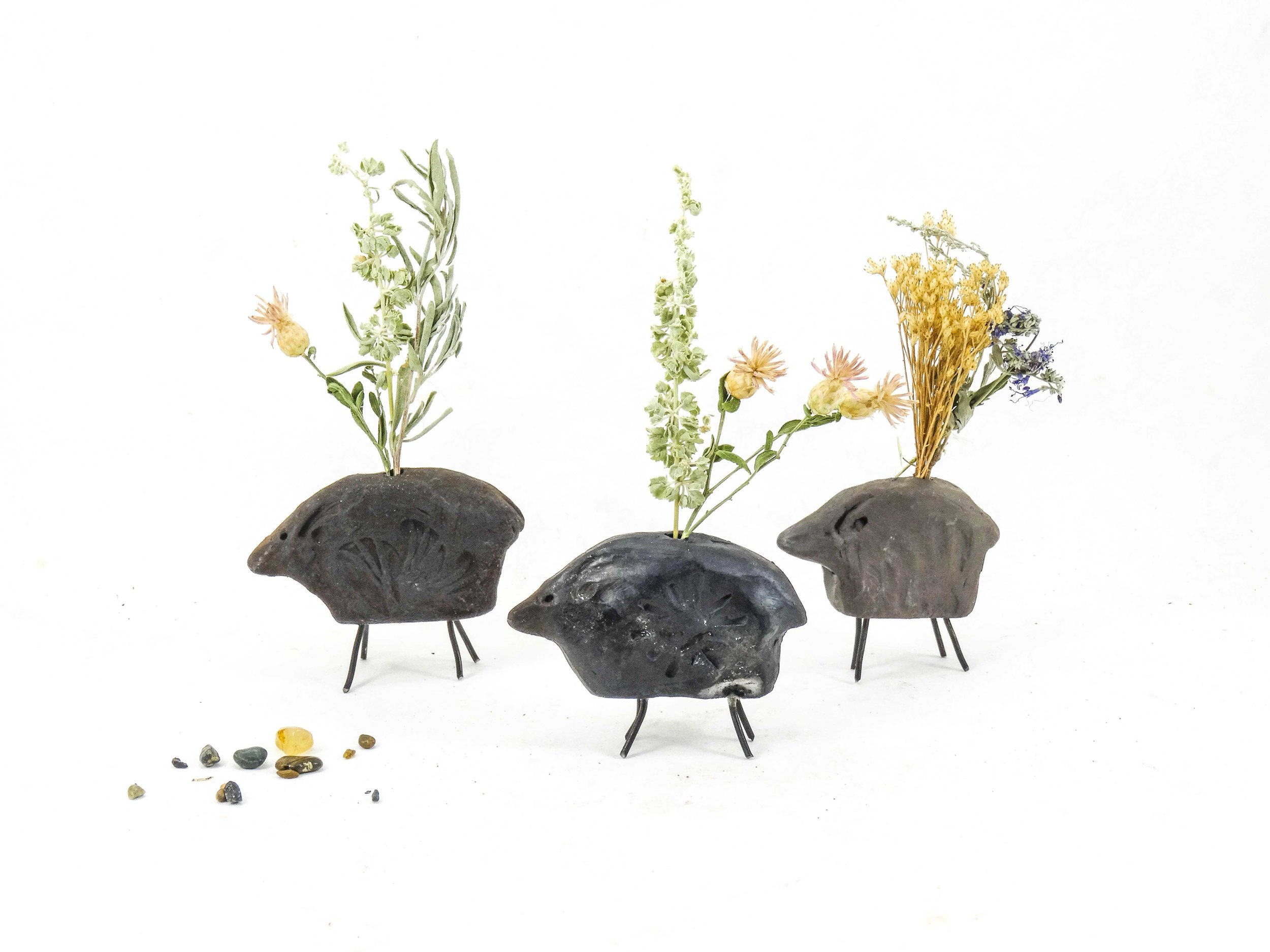 Black-Sheep-3-(web).jpg