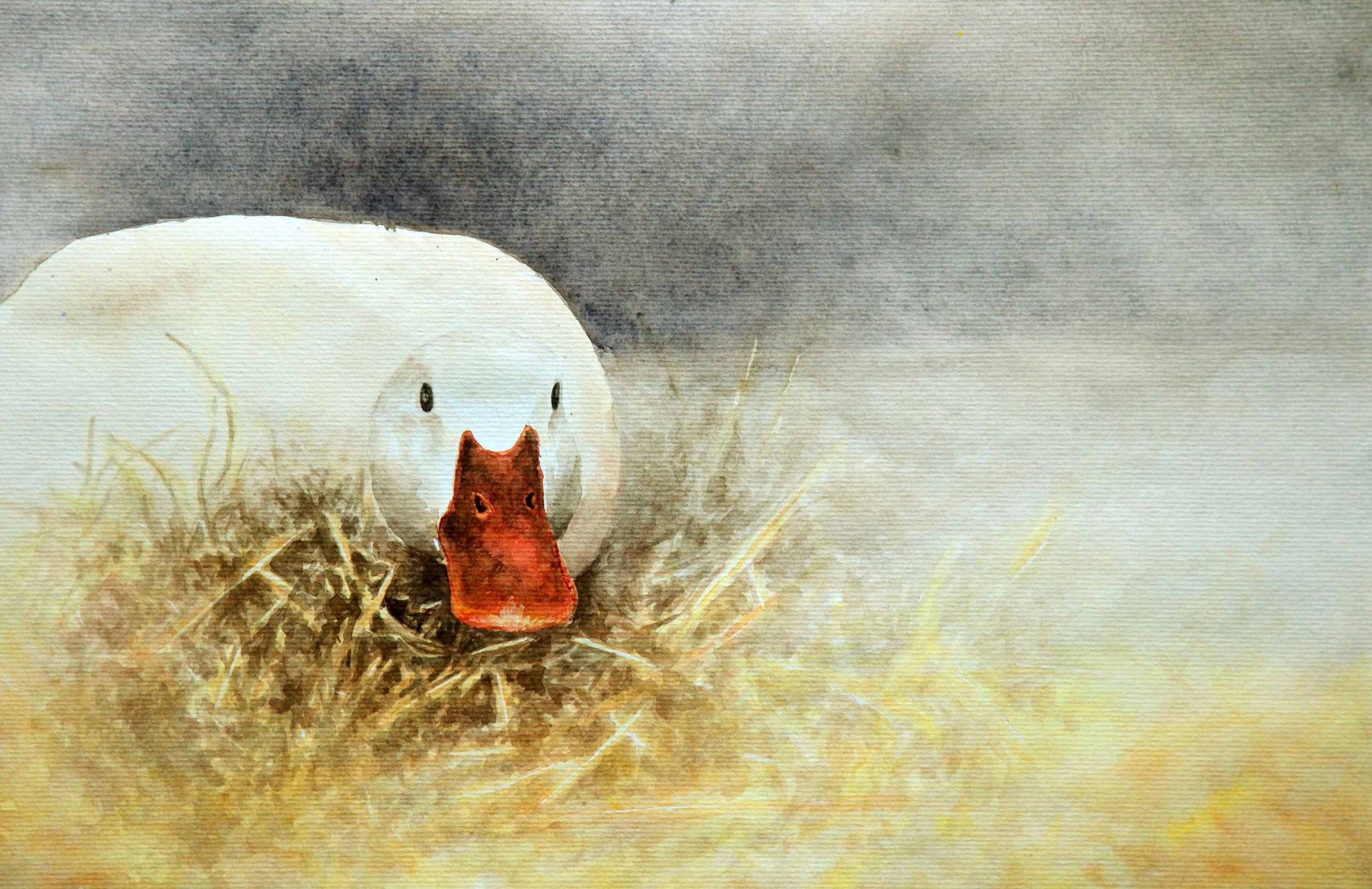 TracyLeeWhite_Duck-(web).jpg