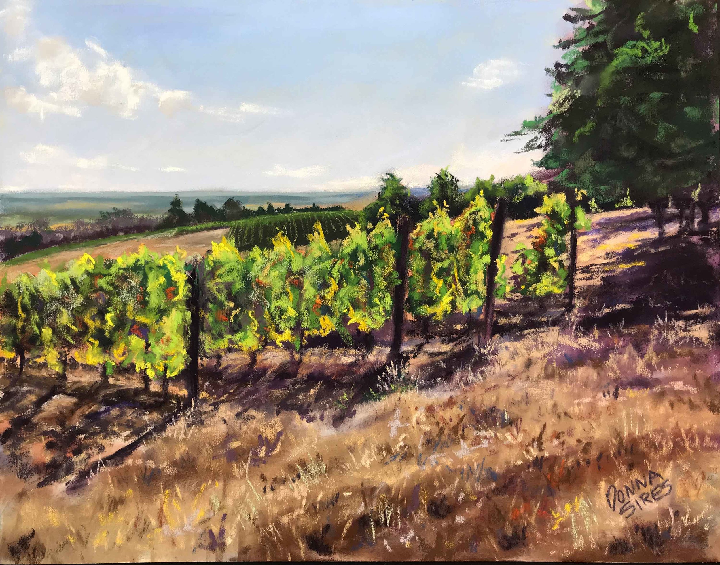 DSires_DundeeVineyards-(web).jpg