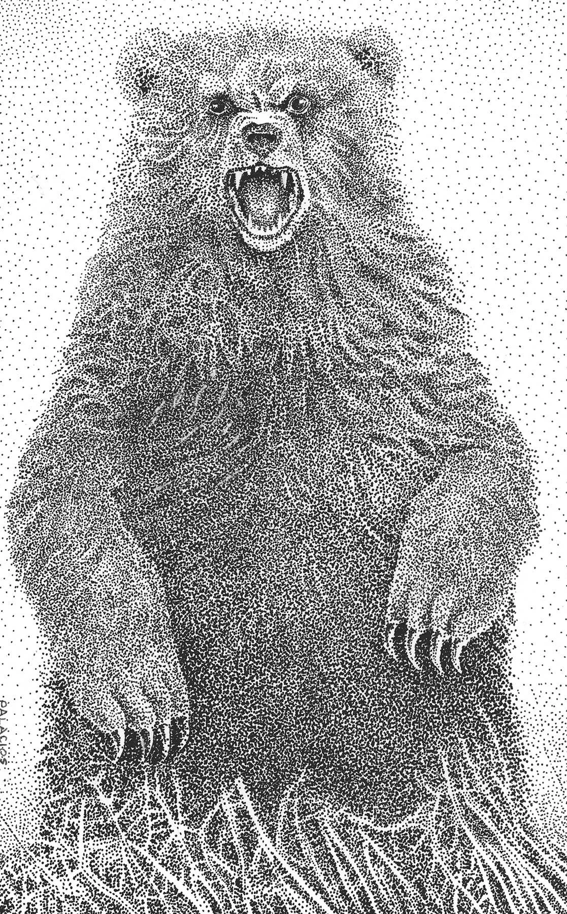 The-Bear-small_WEB.jpg