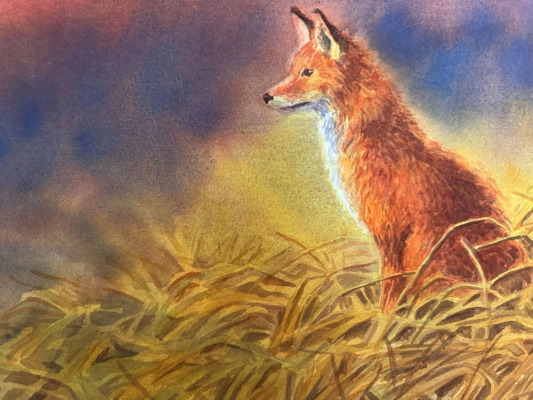 The-Fox-small_WEB.jpg