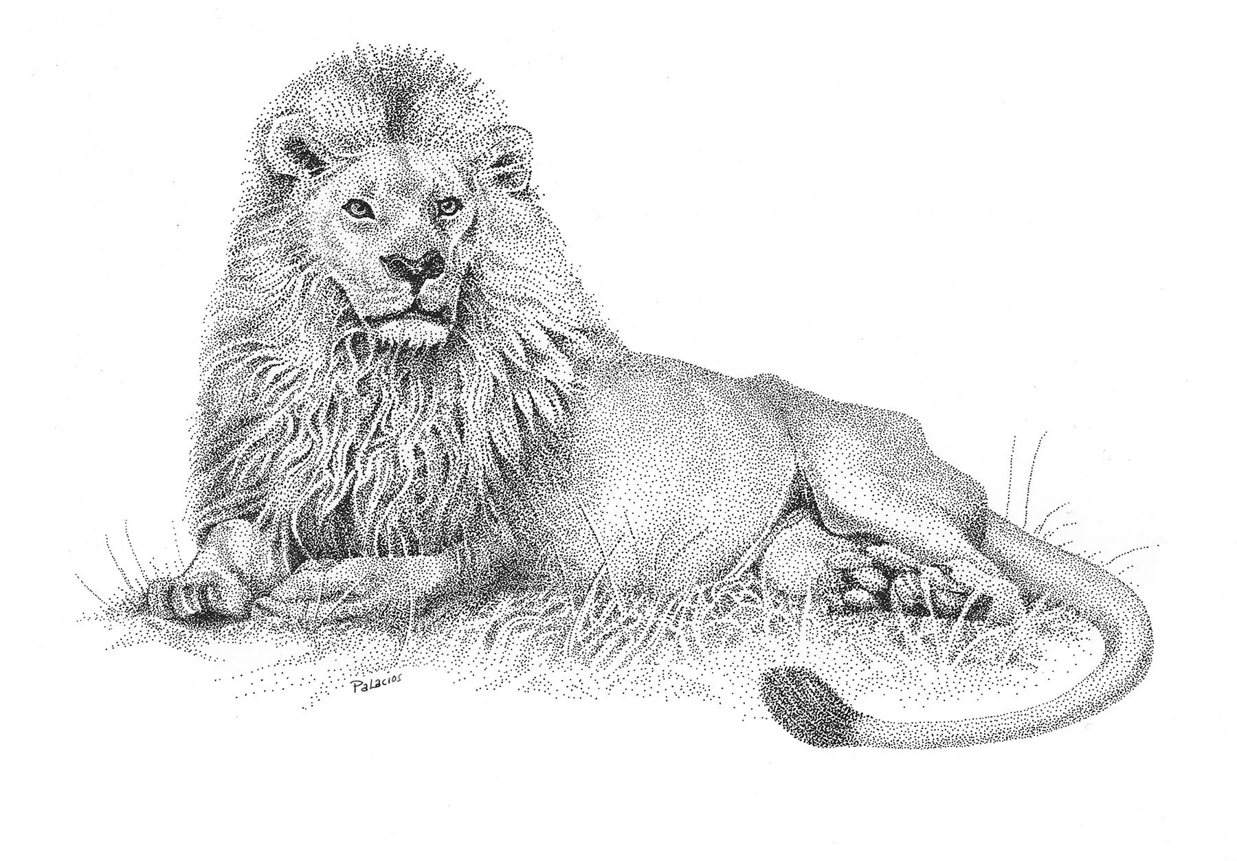 The-King.-small_WEB.jpg