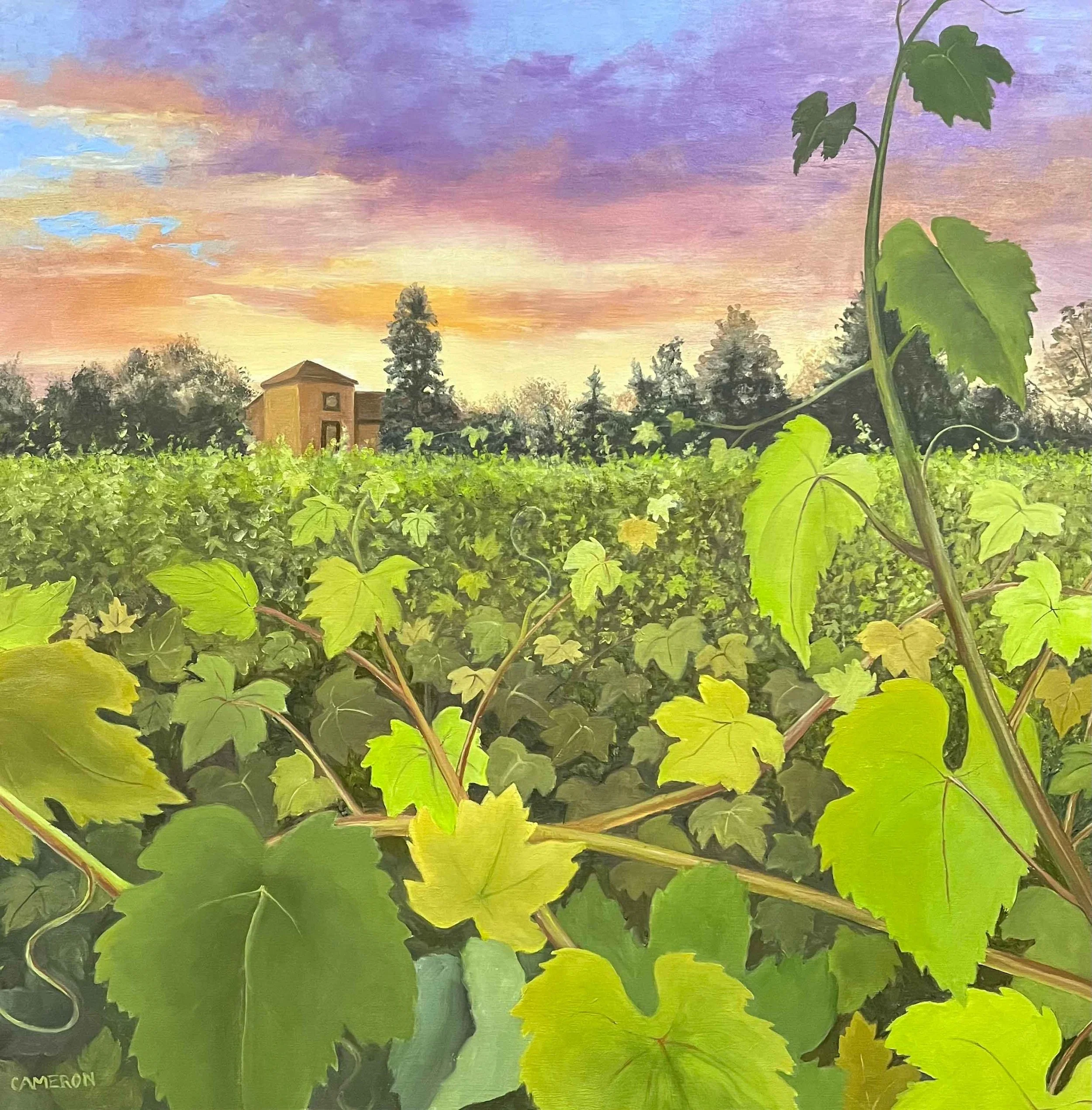 Cameron-No.5_PinotVista_WEB.jpg