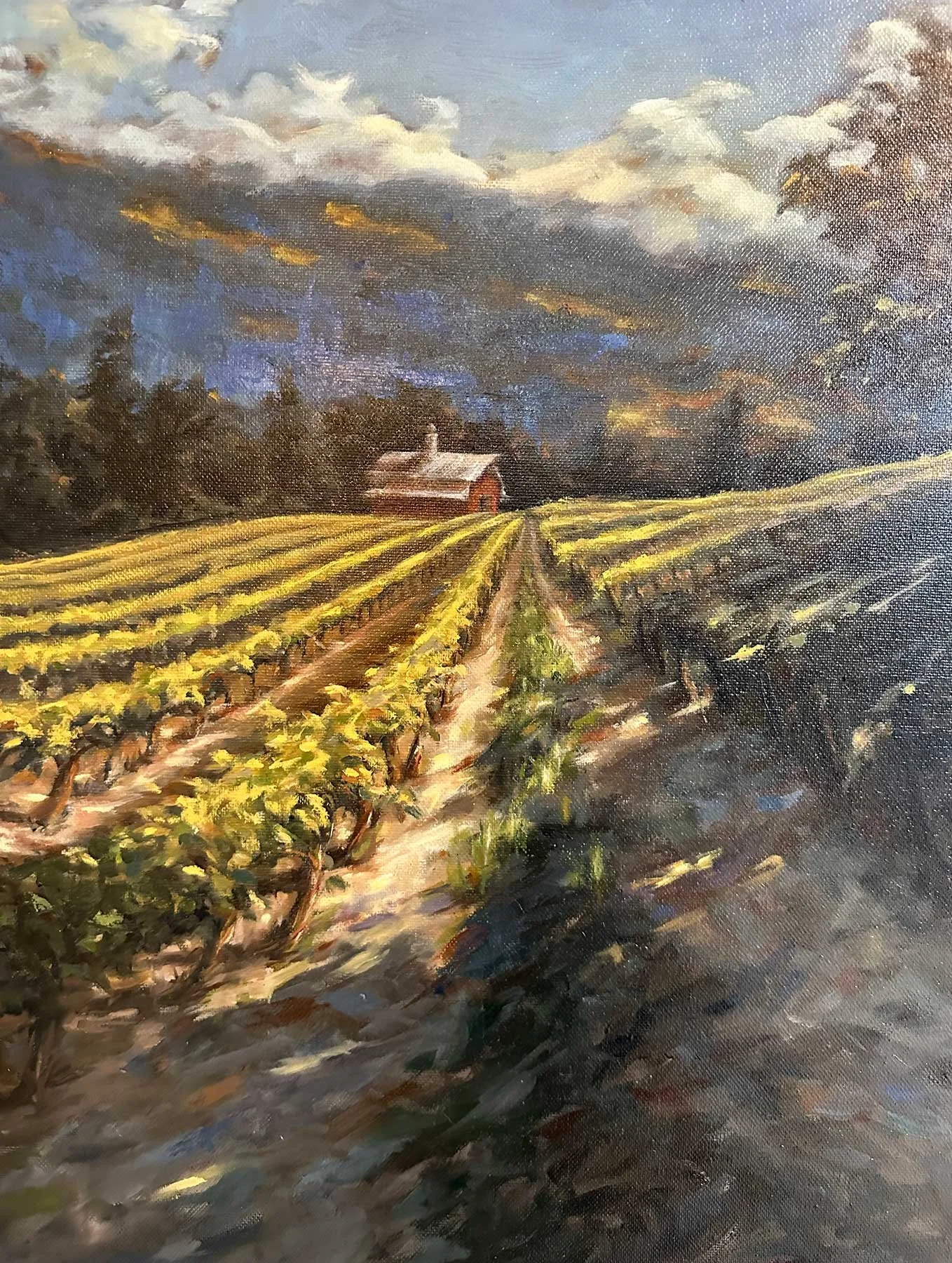Palacios K - Sun-On-The-Vines_WEB.jpg