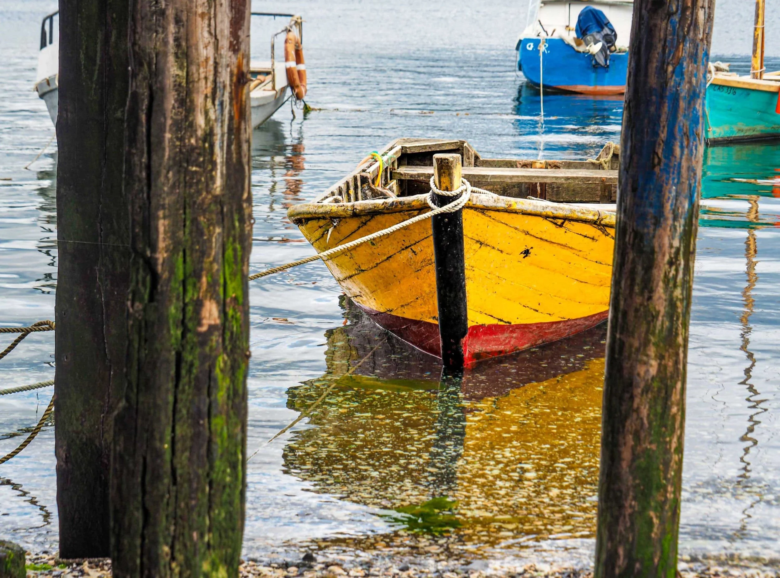 Struxness---Chiloe-Island,-Chile_WEB.jpg