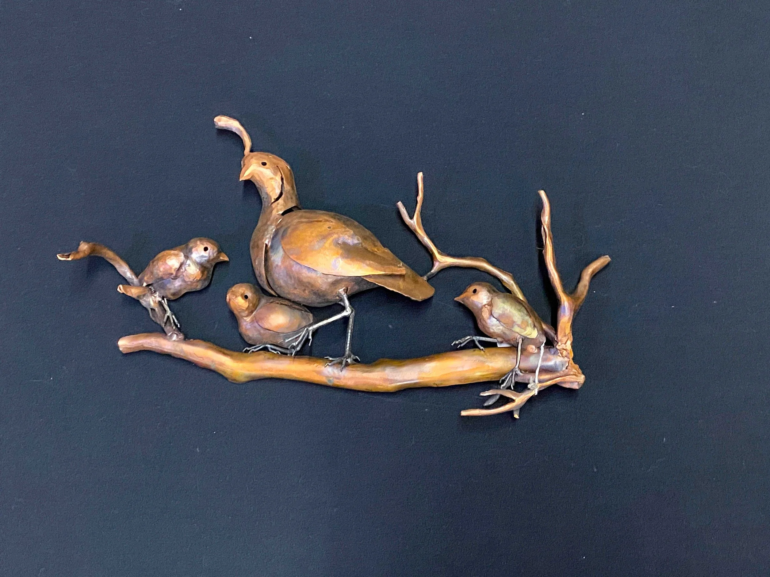 TyreeS_Quail-and-Chicks-EDIT_WEB.jpg