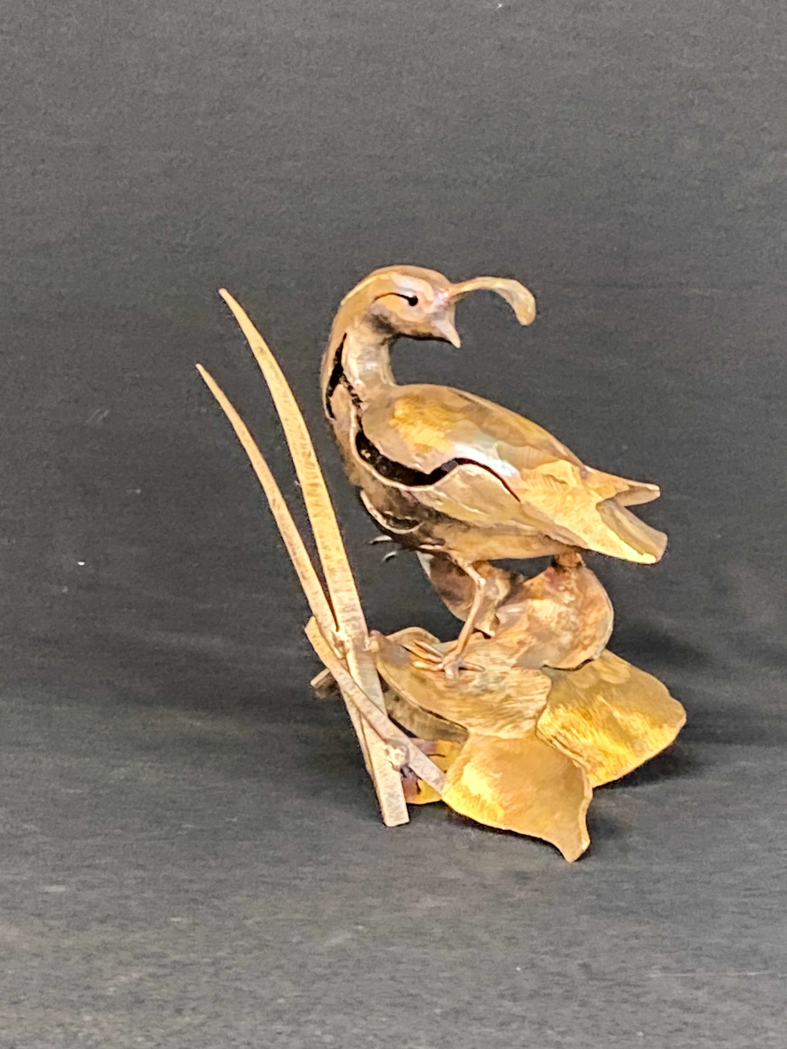 TyreeS_Quail-on-Rocks_WEB.jpg