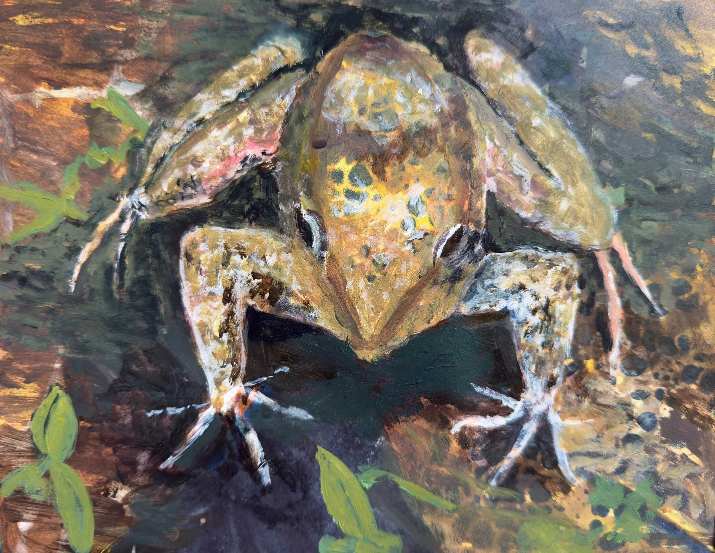 BuckKathleen_Mr.Froggy-WEB.jpg