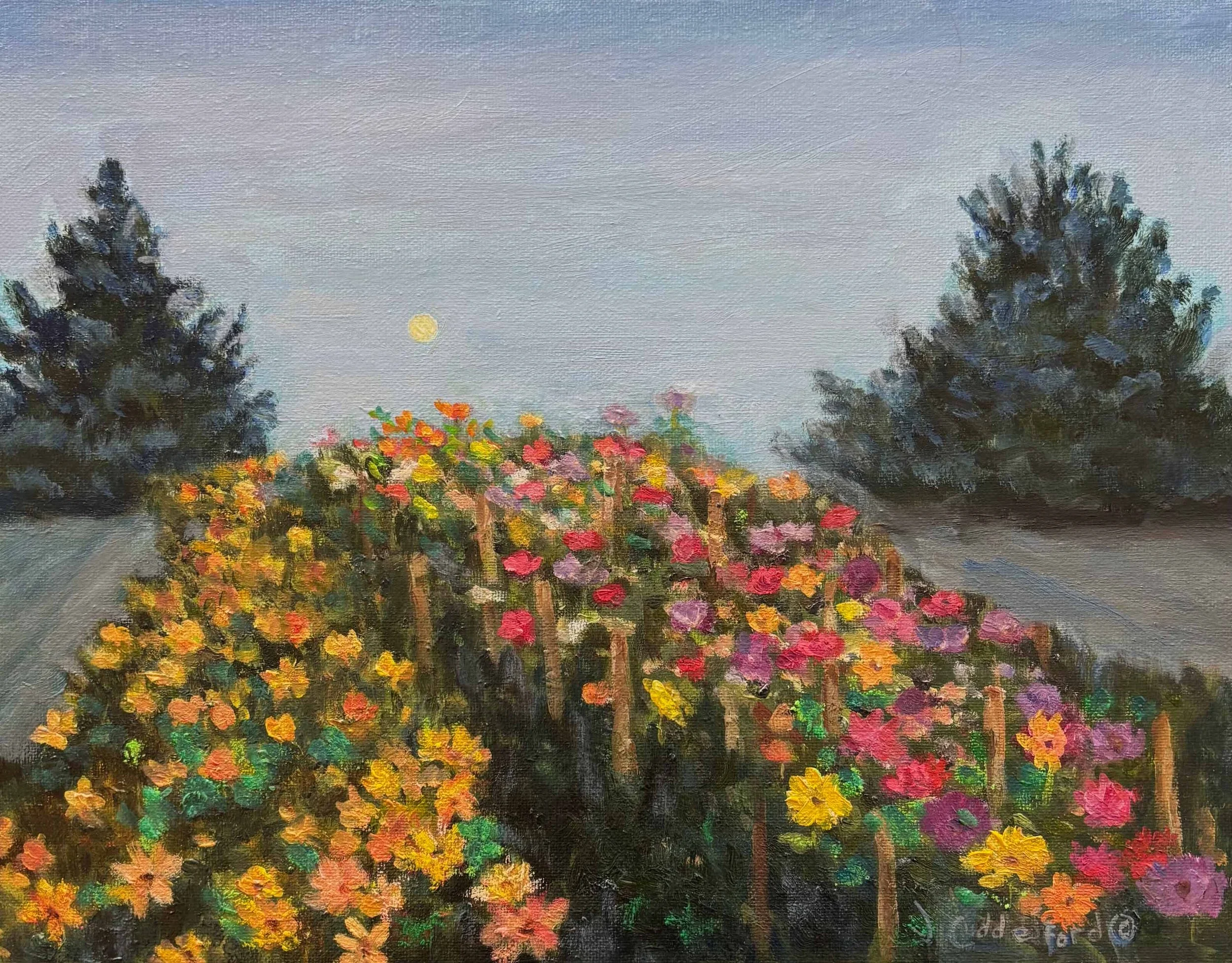 Cuddeford_FullBloom-WEB.jpg