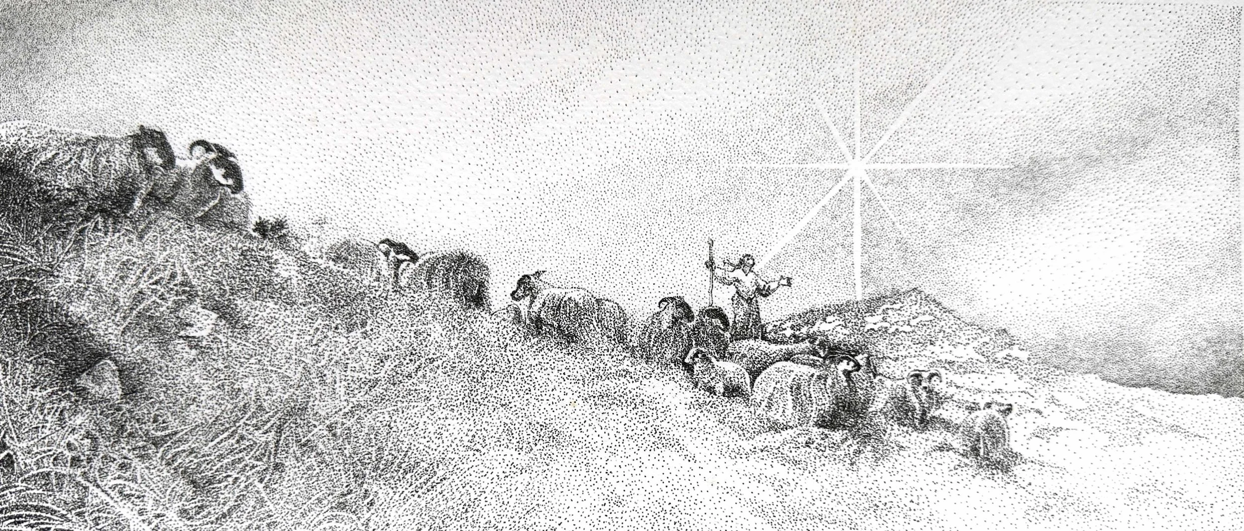 PalaciosJ Shepherd-in-the-field-by-night-WEB.jpg