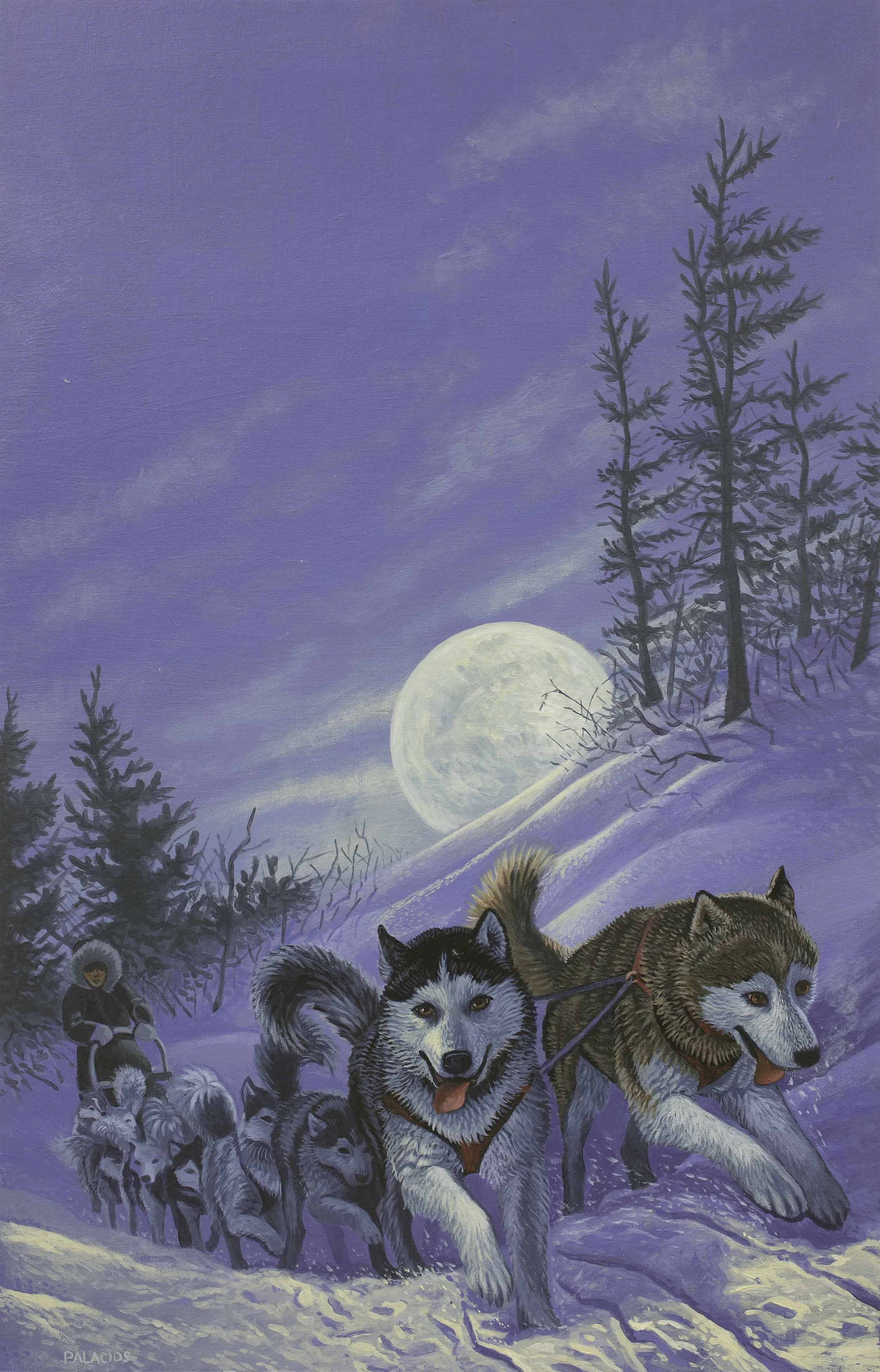 PalaciosJ Wild-Country-SM-WEB.jpg