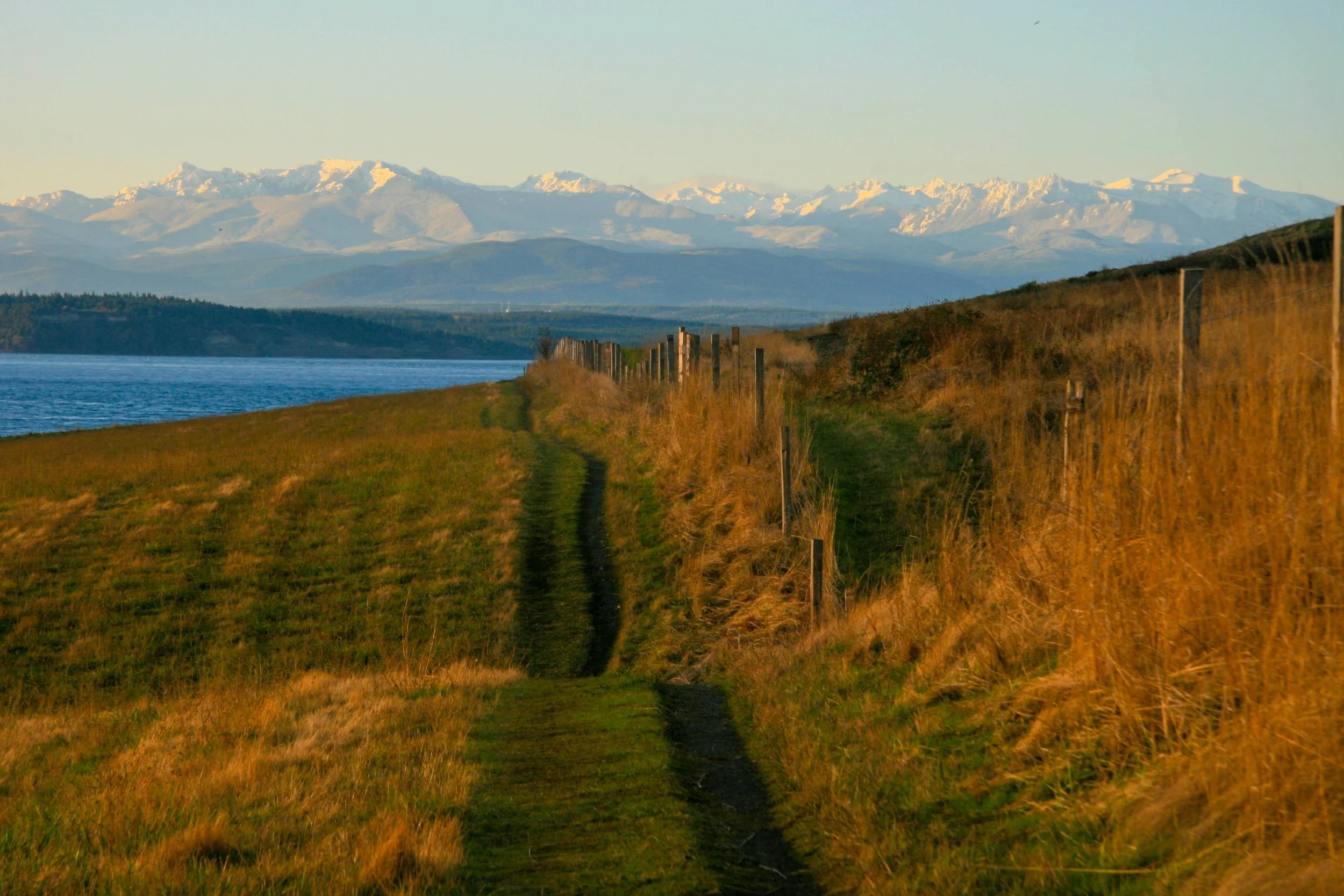 Struxnness_-You-can-see-Forever-Whidbey-Island-WA-WEB.jpg