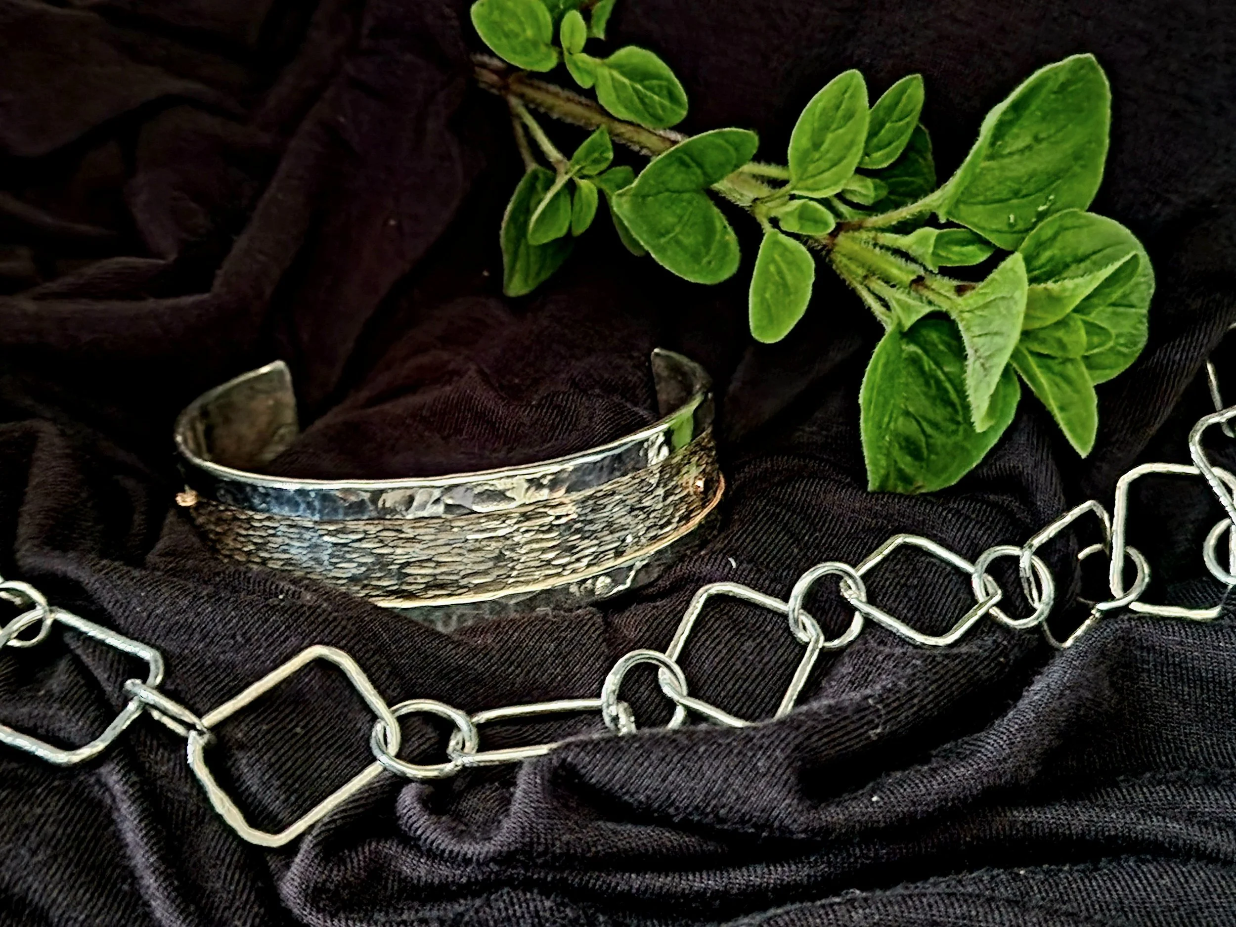 Debra Franciosi