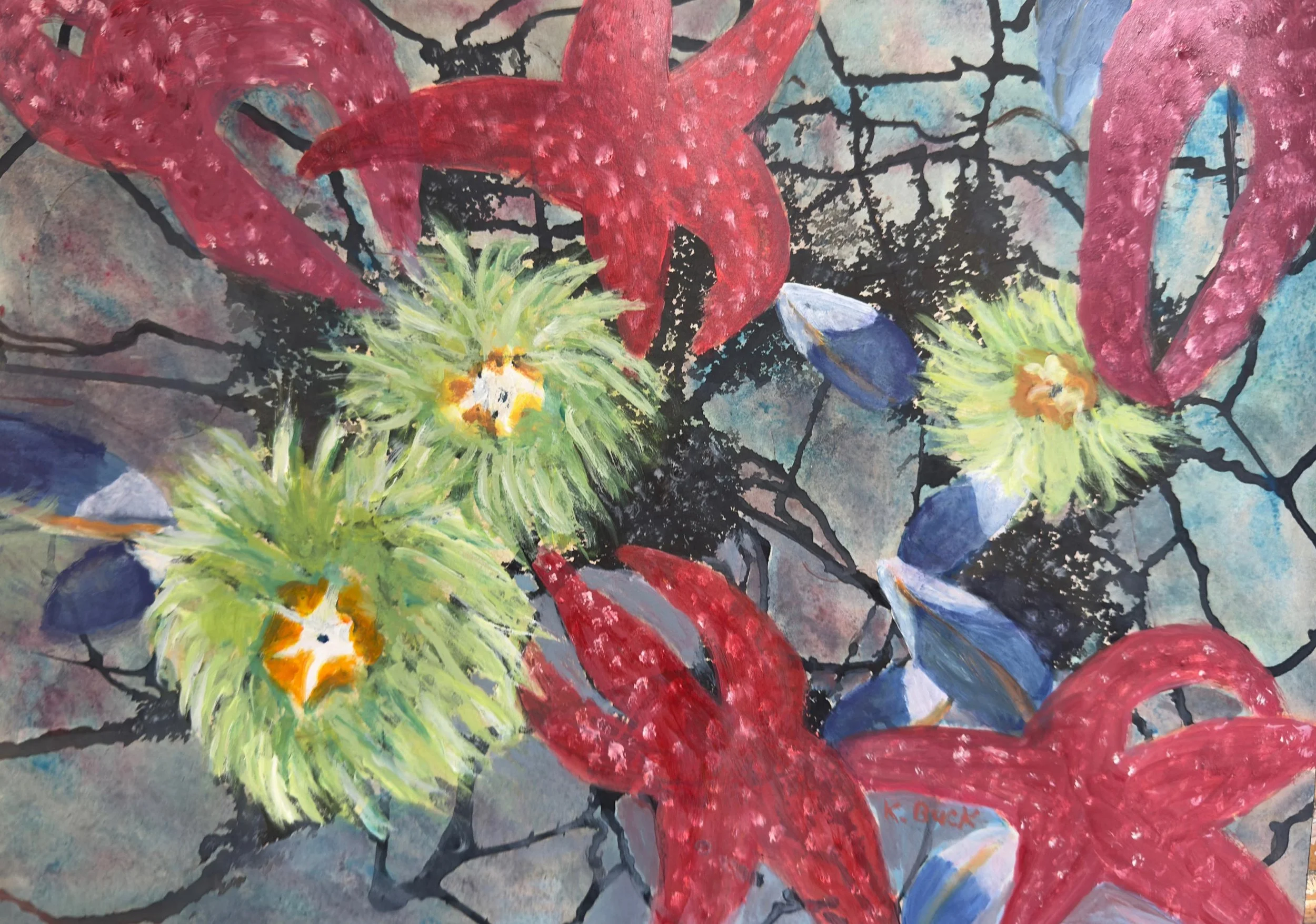 BuckKathleen_Galaxy-of-Starfish-4-WEB.jpg