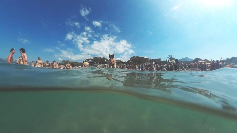 calvi2.jpg