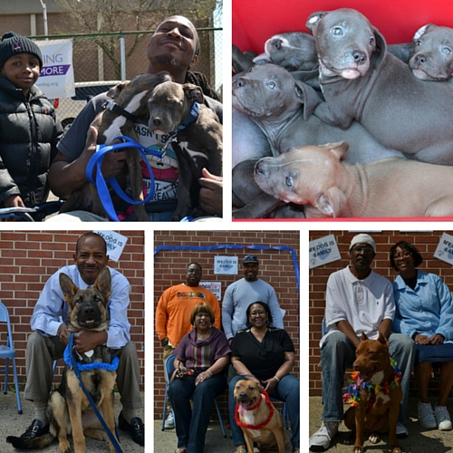 April 2013 – Community Pit Bull Day at Franklin Square Elementary/Middle School