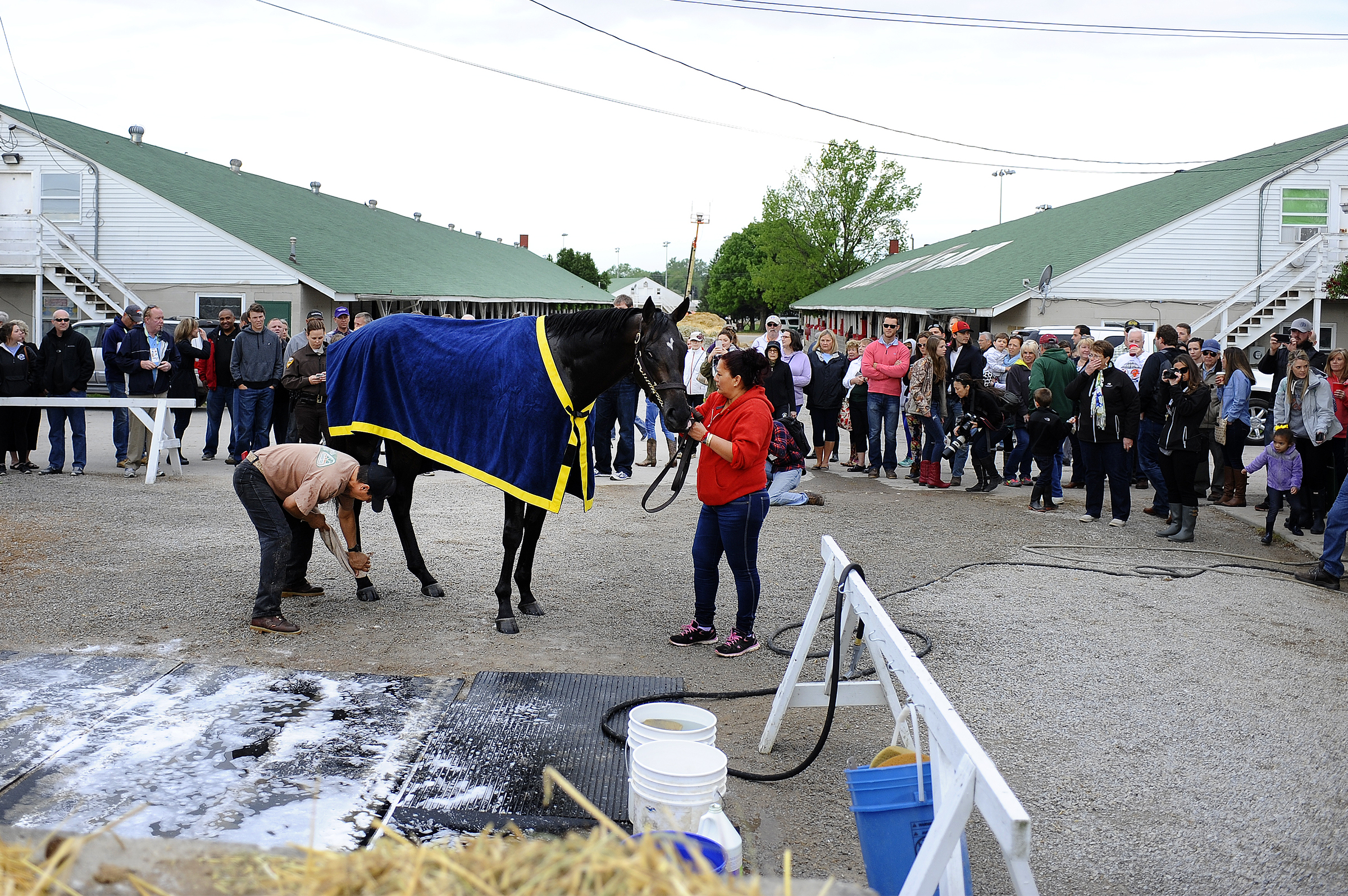  Kentucky Derby horse Mor Spirit trained by Bob Baffert receives a bath after his morning workout at Churchill Downs on Wednesday, May 4, 2016. 